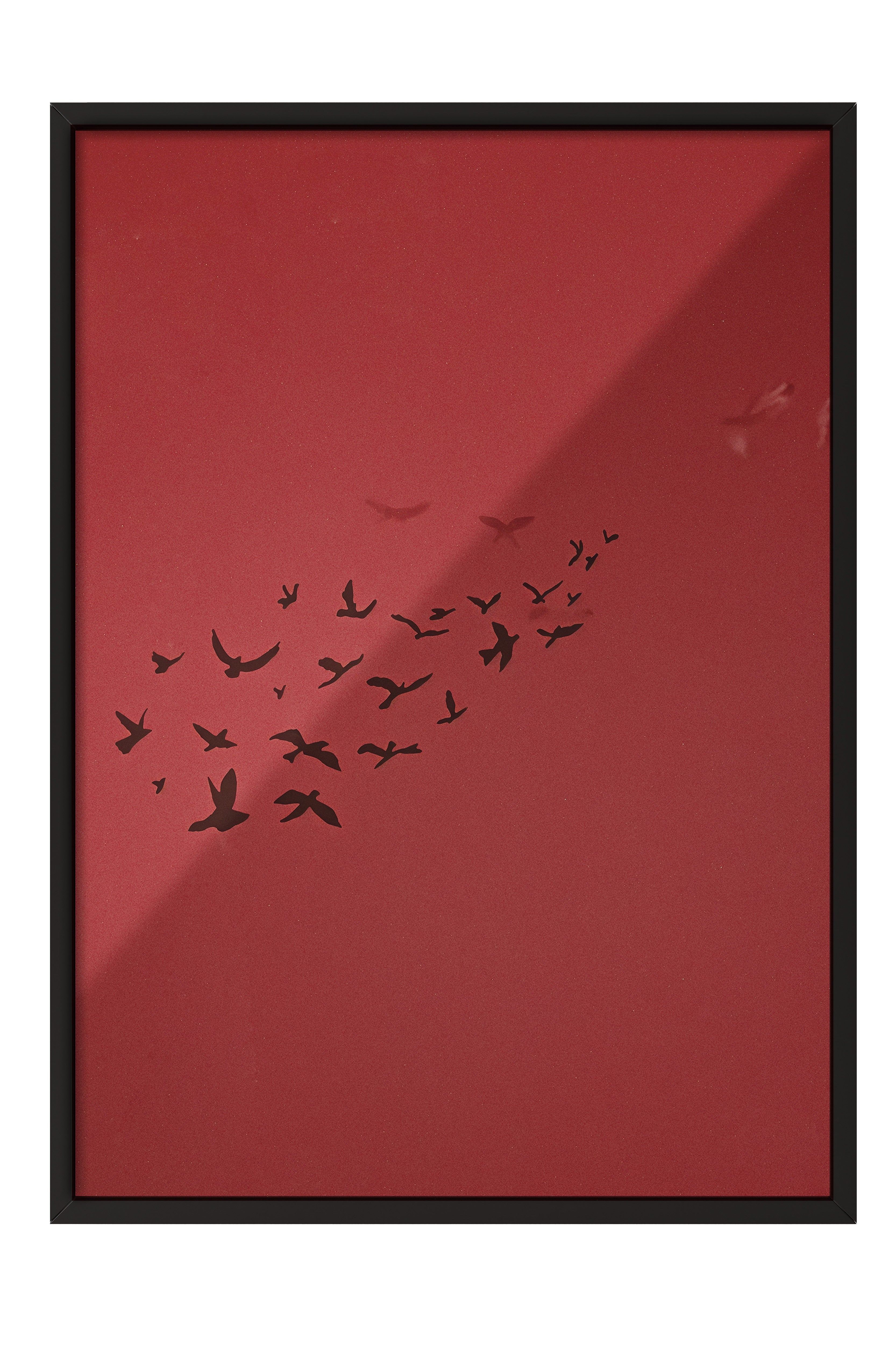 Duvar Tablosu, Siyah Çerçeveli Tablo ve Poster, Ritüel Serisi, Kuş Tablo, NO:115209