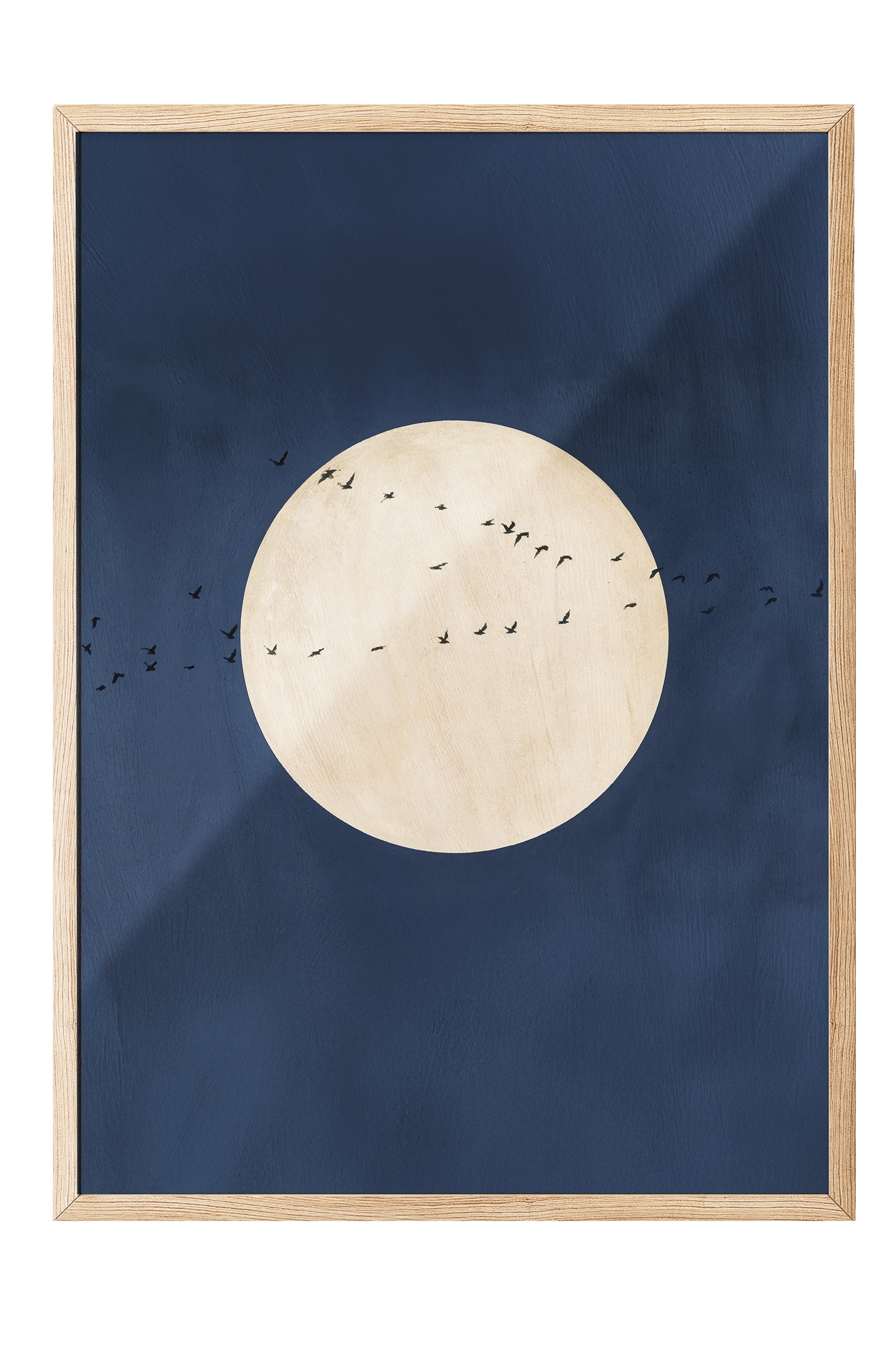 Duvar Tablosu, Ahşap Çerçeveli Tablo ve Poster, Ritüel Serisi, Kuş Tablo, NO:115212