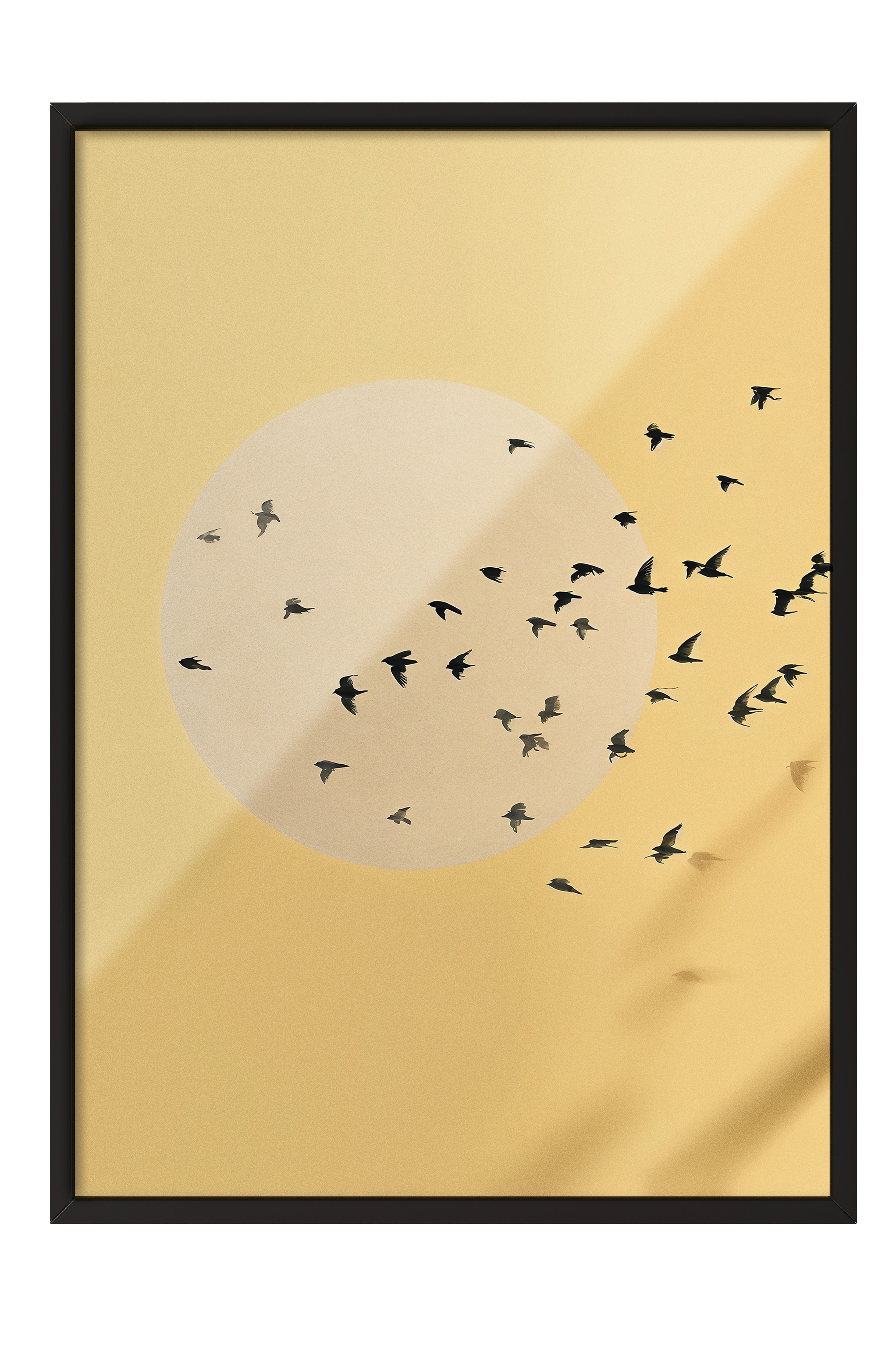 Duvar Tablosu, Siyah Çerçeveli Tablo ve Poster, Ritüel Serisi, Kuş Tablo, NO:115224