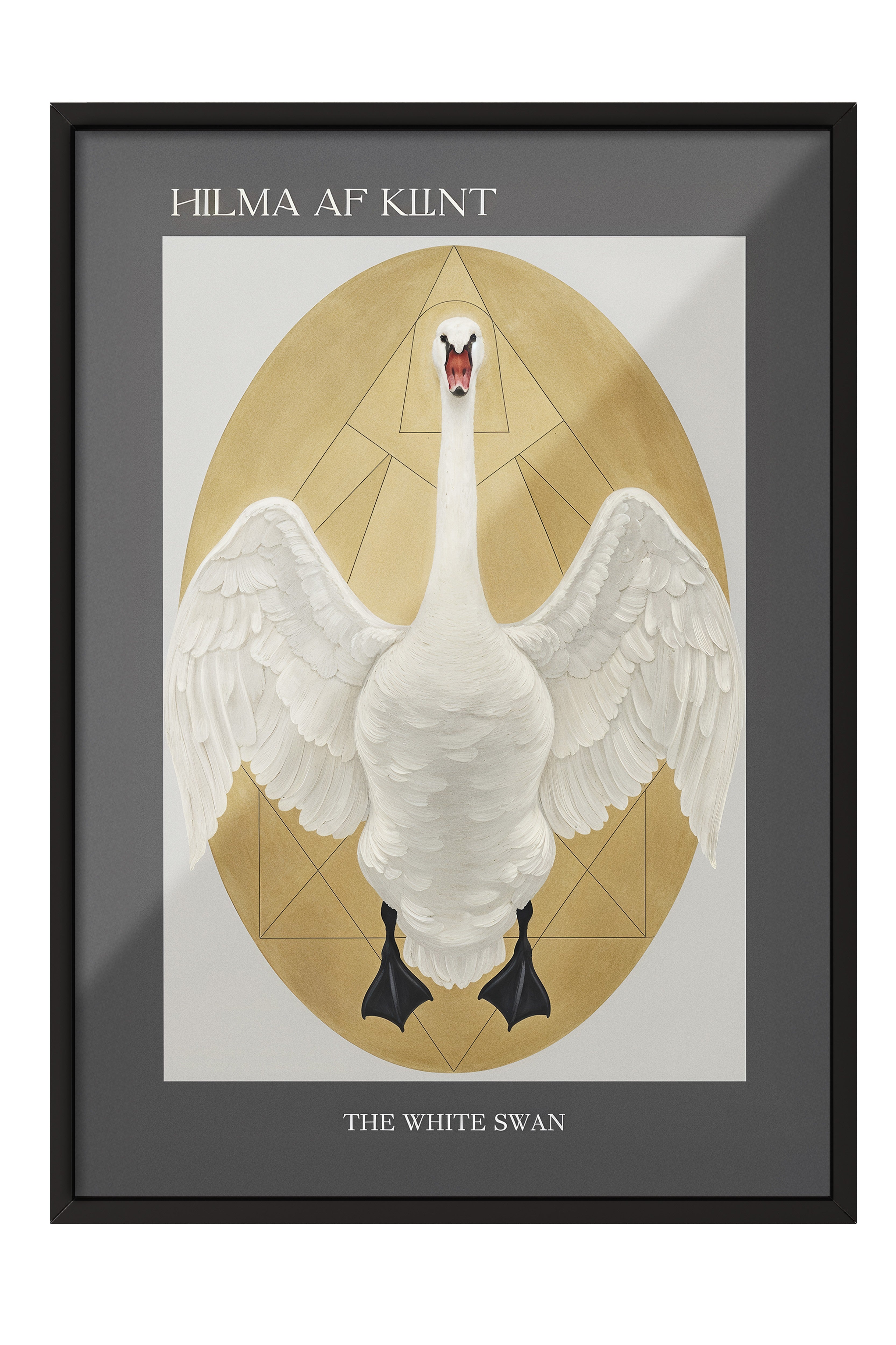 Duvar Tablosu, Siyah Çerçeveli Tablo ve Poster, Ritüel Serisi, Kuş Tablo, NO:115230