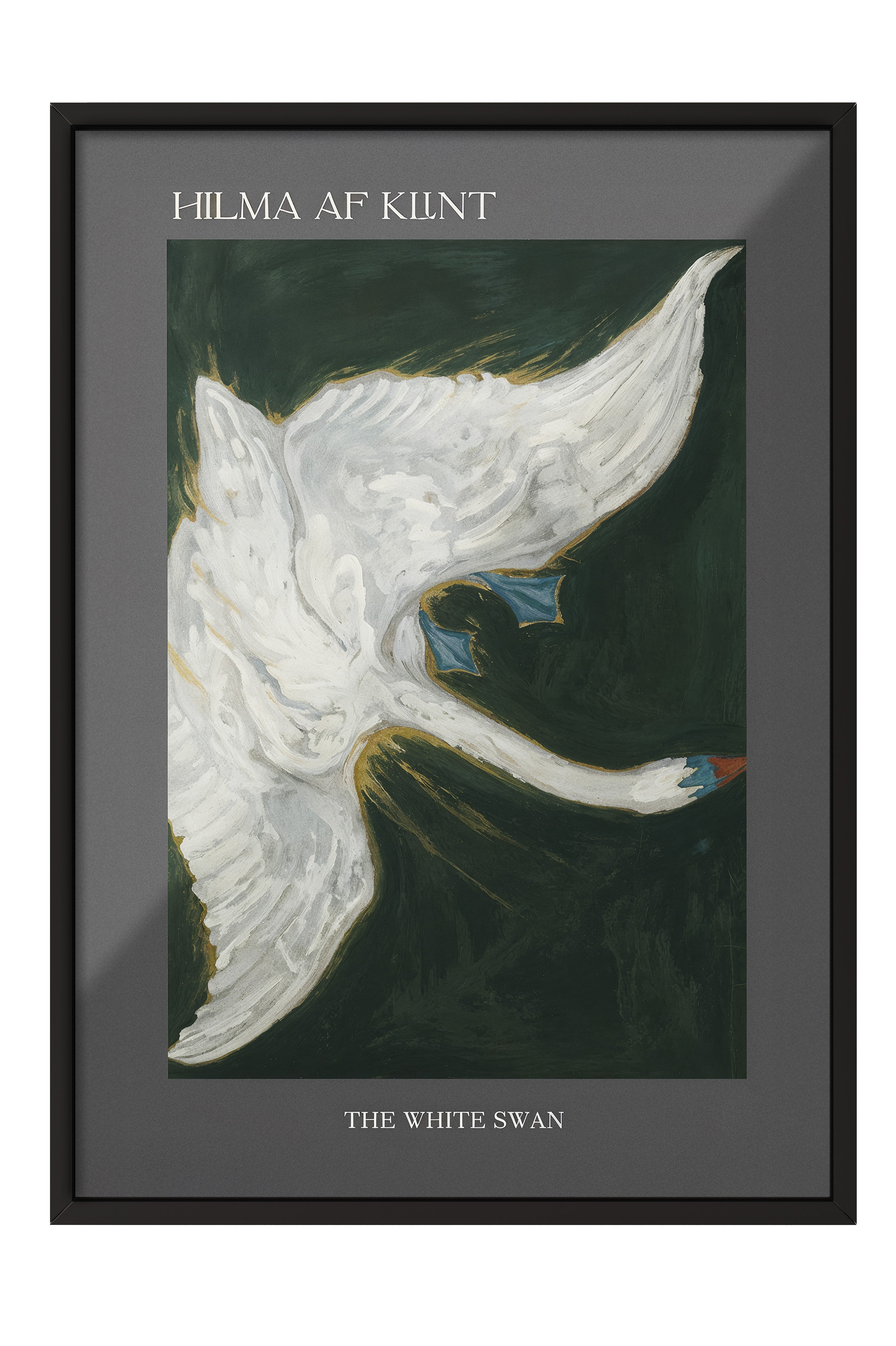 Duvar Tablosu, Siyah Çerçeveli Tablo ve Poster, Ritüel Serisi, Kuş Tablo, NO:115232