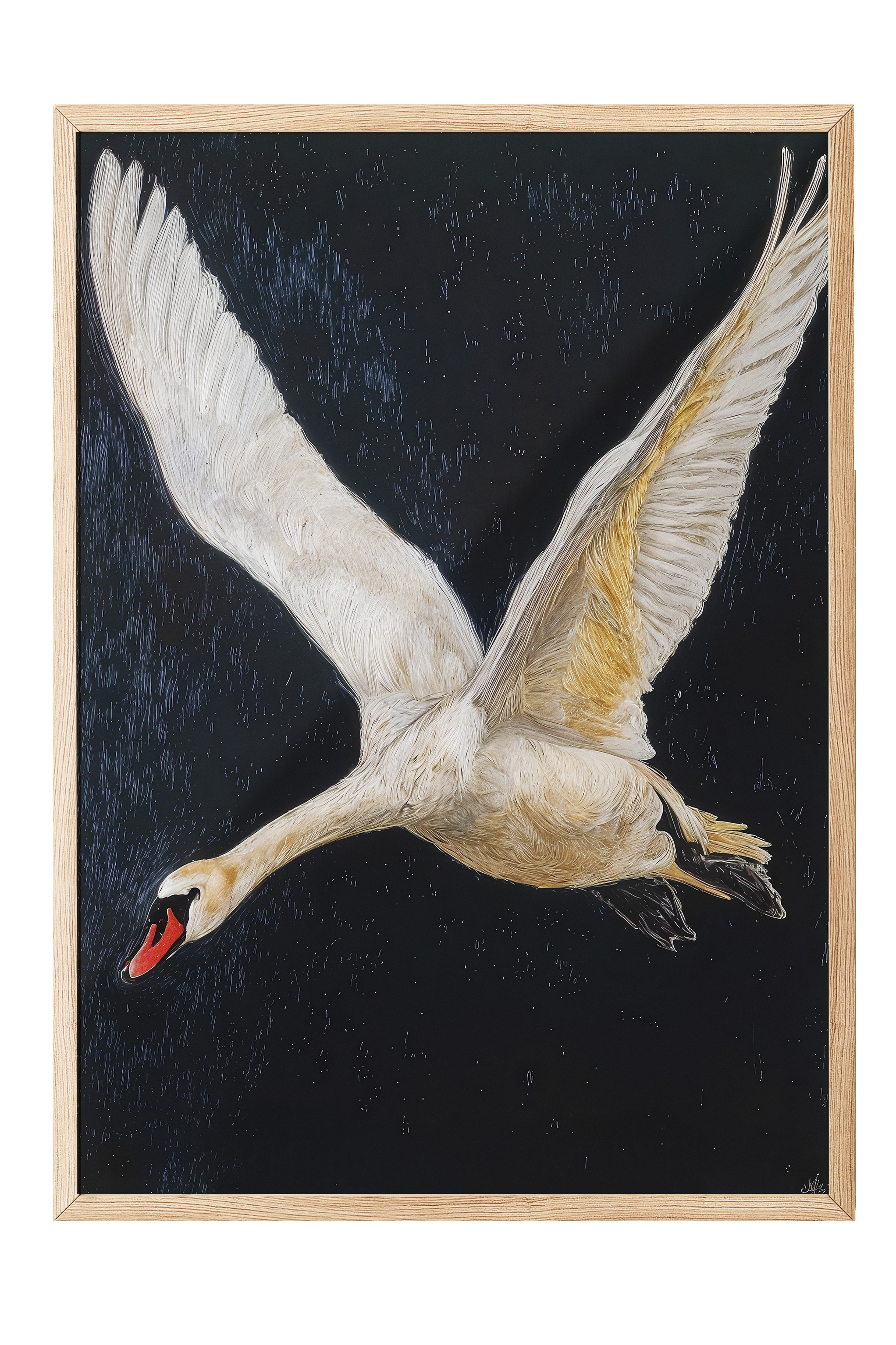Duvar Tablosu, Ahşap Çerçeveli Tablo ve Poster, Ritüel Serisi, Kuş Tablo, NO:115246
