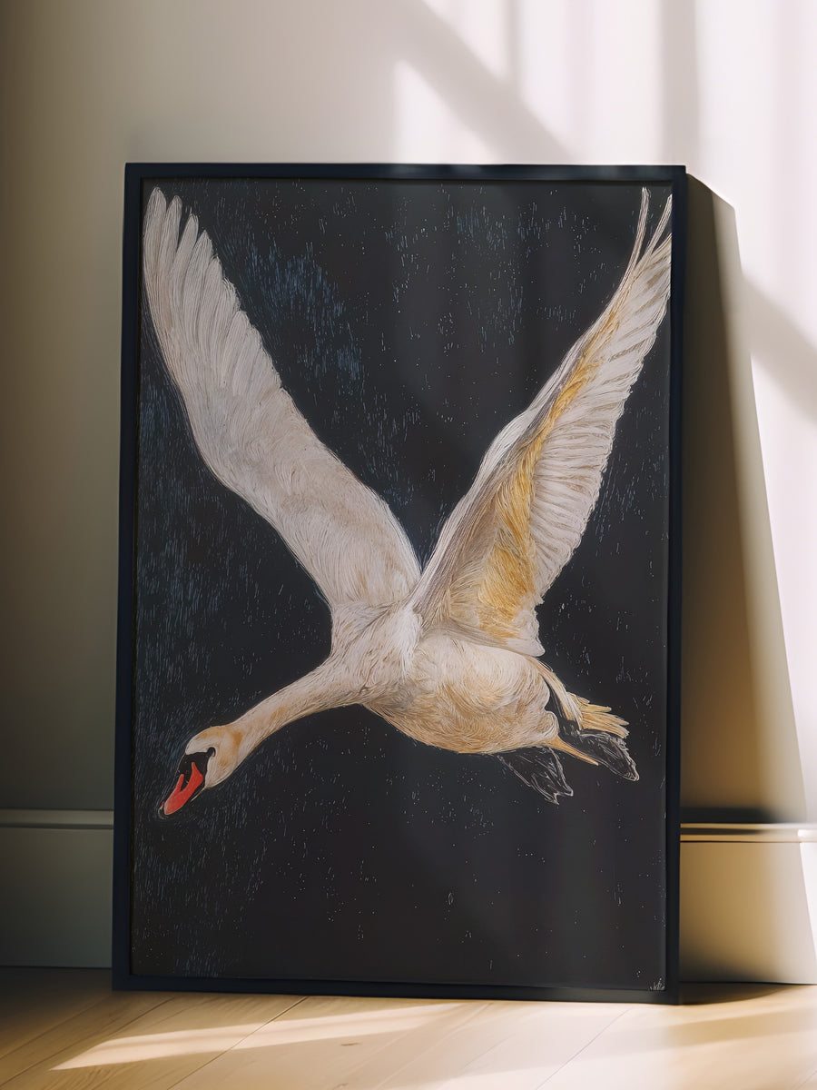 Farklı Tonlarda Uçan Kuğu Ritüel Serisi Poster – Siyah Çerçeveli Tablo