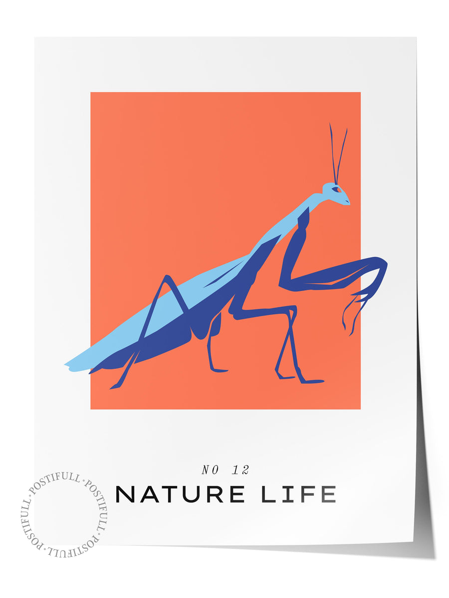 Farklı Tonlarda Nature Life Tropikal İllustrasyon Çerçevesiz Poster