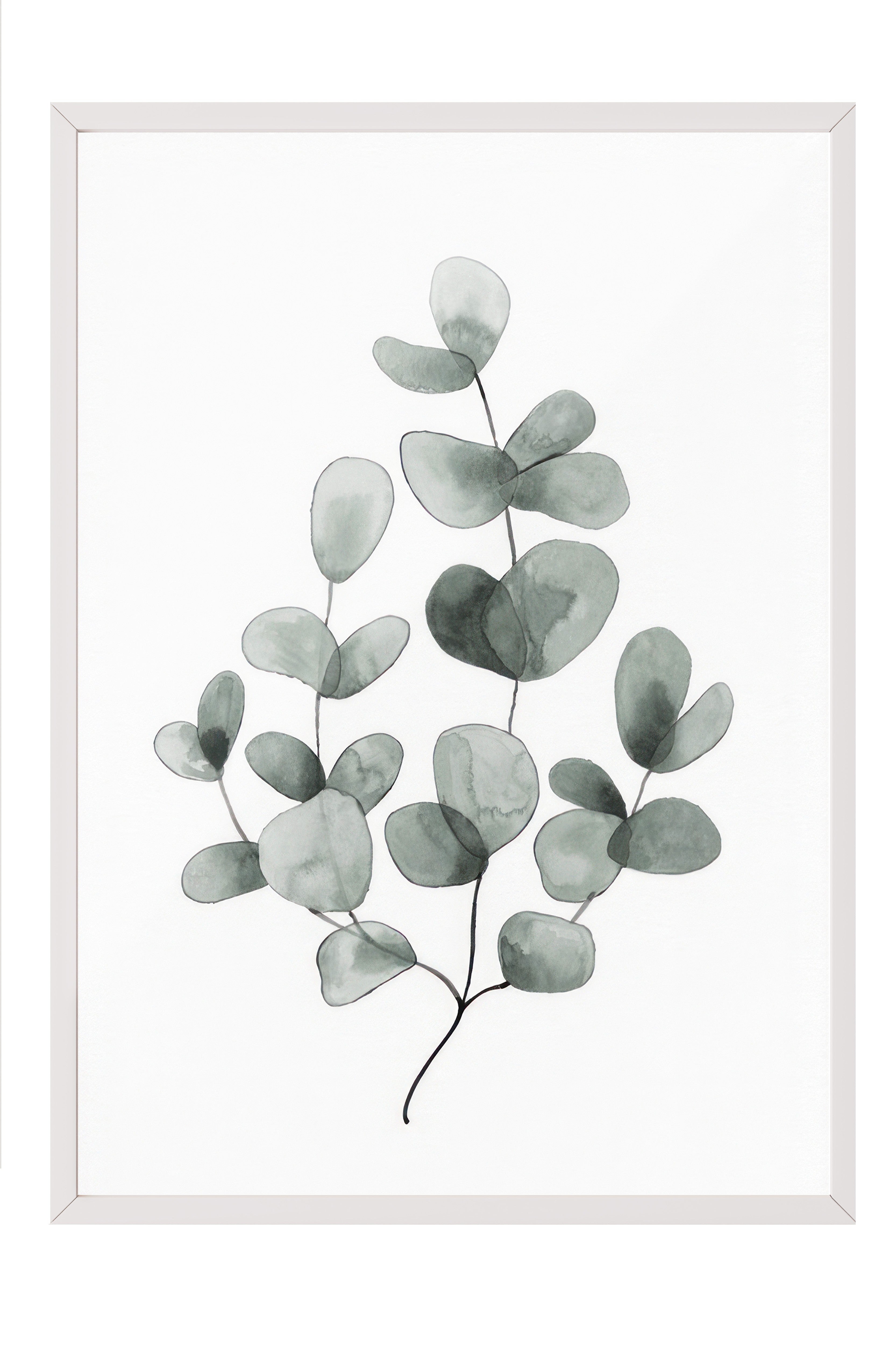 Eucalyptus No1 Çerçeveli Tablo, Beyaz Çerçeve ve Poster, Duvar Tablosu Comfort Serisi NO:108454