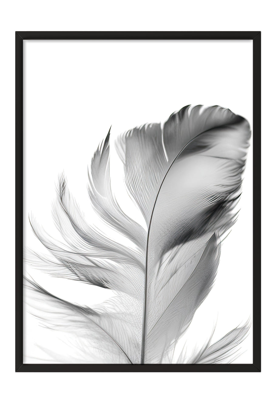 Feather Çerçeveli Tablo, Siyah Çerçeve ve Poster, Dikey Duvar Tablosu Comfort Serisi NO:108302