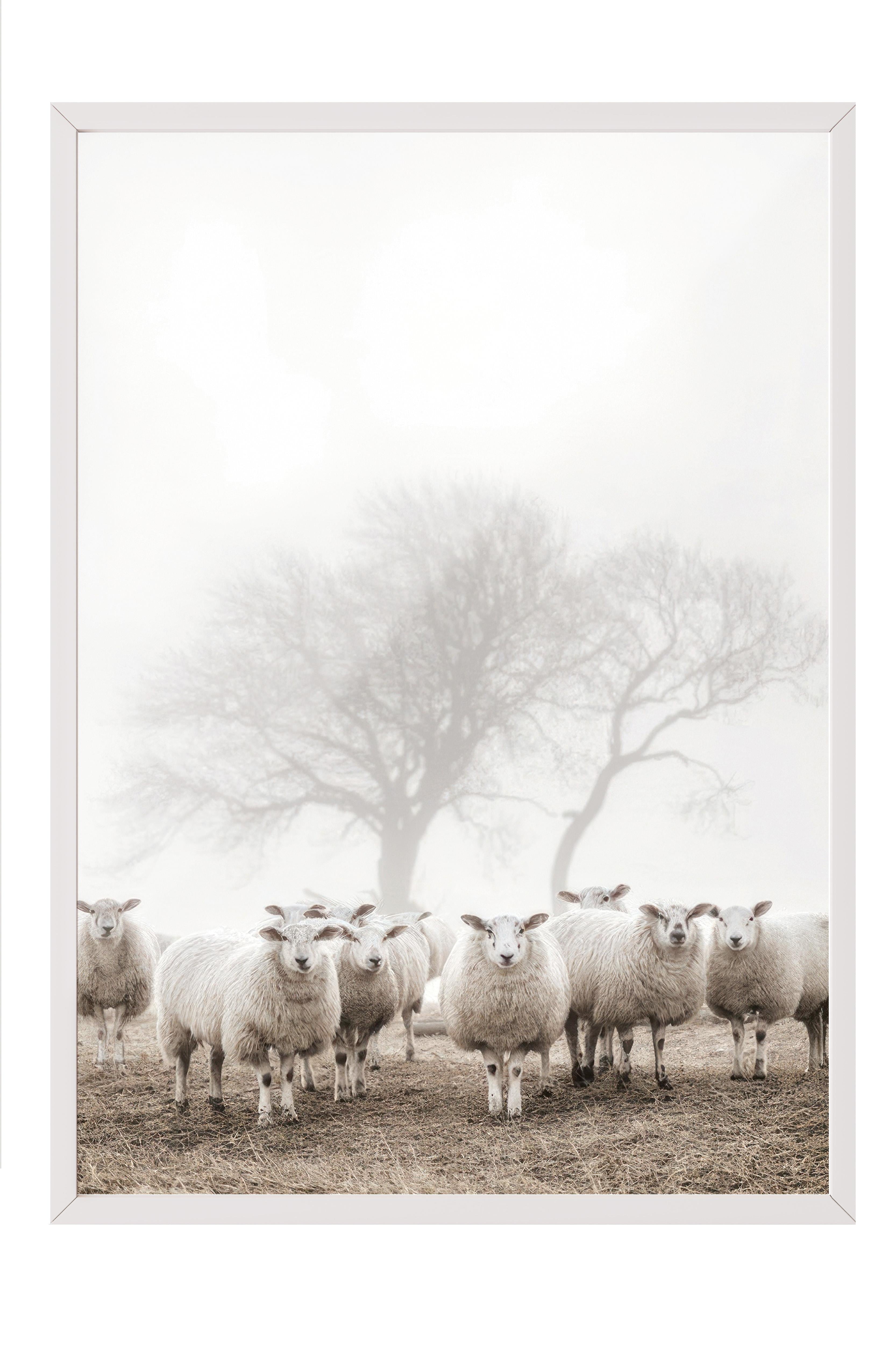 Flock of Sheep Çerçeveli Tablo, Beyaz Çerçeve ve Poster, Duvar Tablosu Comfort Serisi NO:108505
