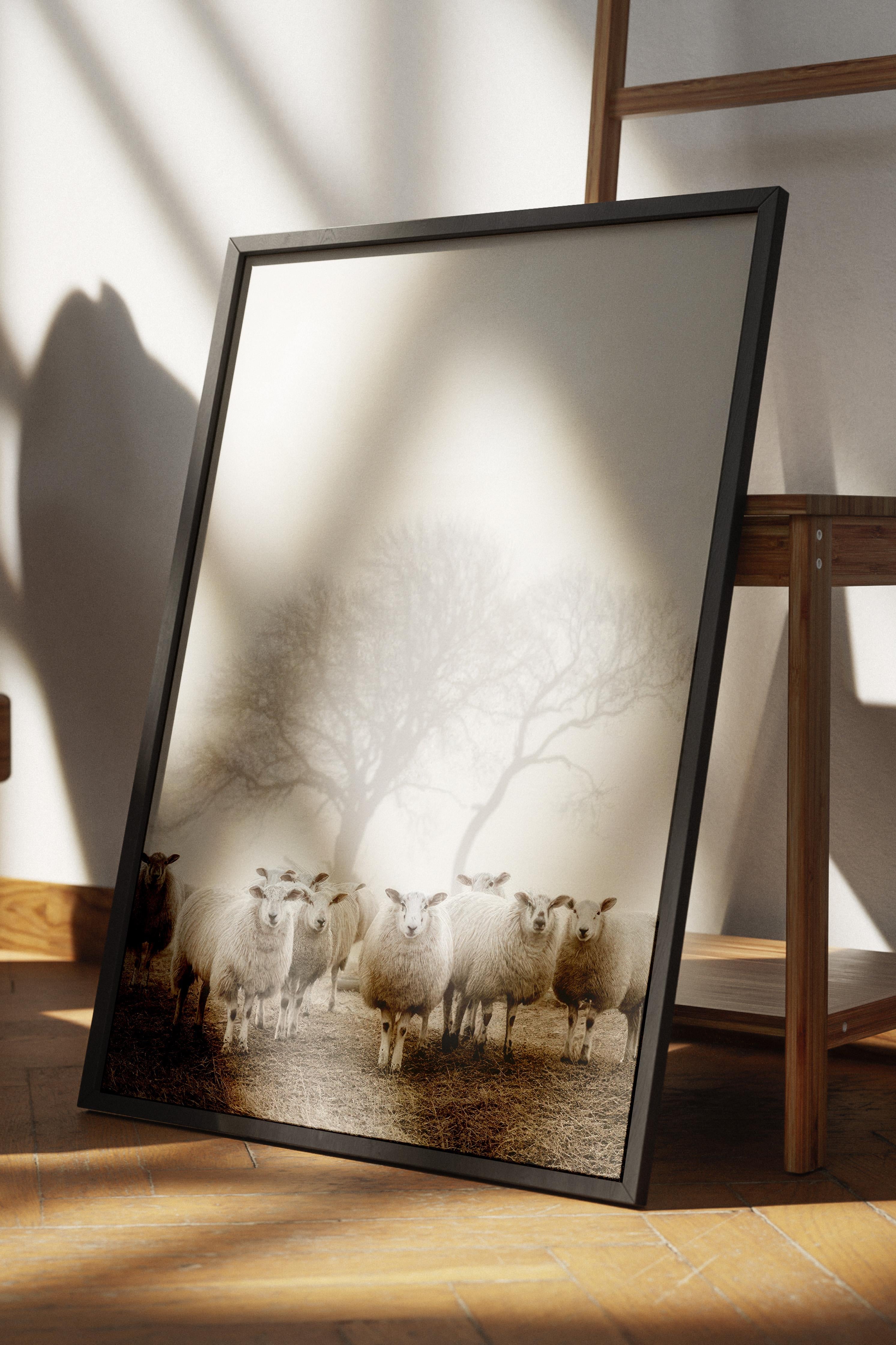 Flock of Sheep Çerçeveli Tablo, Siyah Çerçeve ve Poster, Duvar Tablosu Comfort Serisi NO:108505