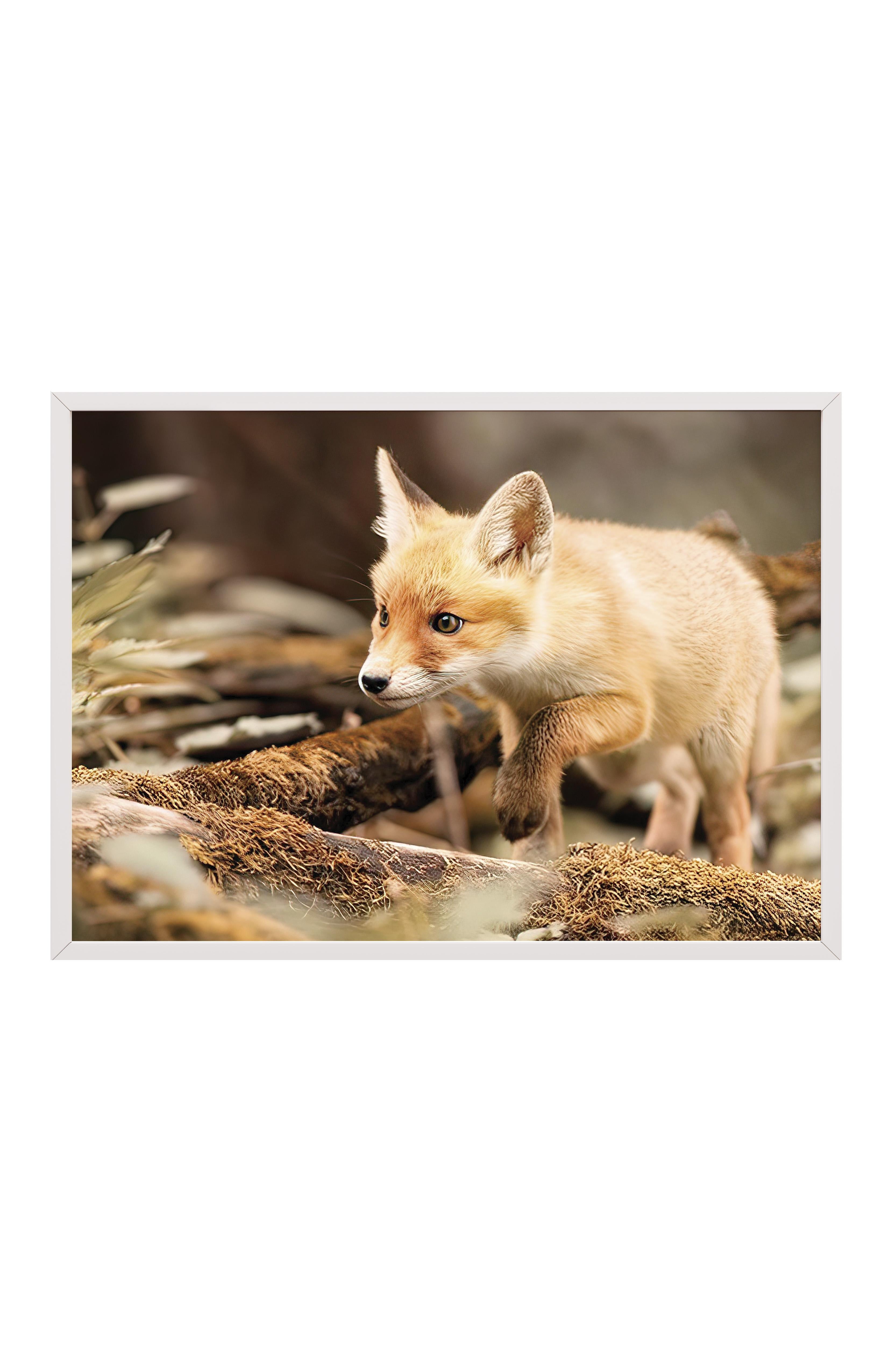Forest Fox Çerçeveli Tablo, Beyaz Çerçeve ve Poster, Yatay Duvar Tablosu Comfort Serisi NO:108349
