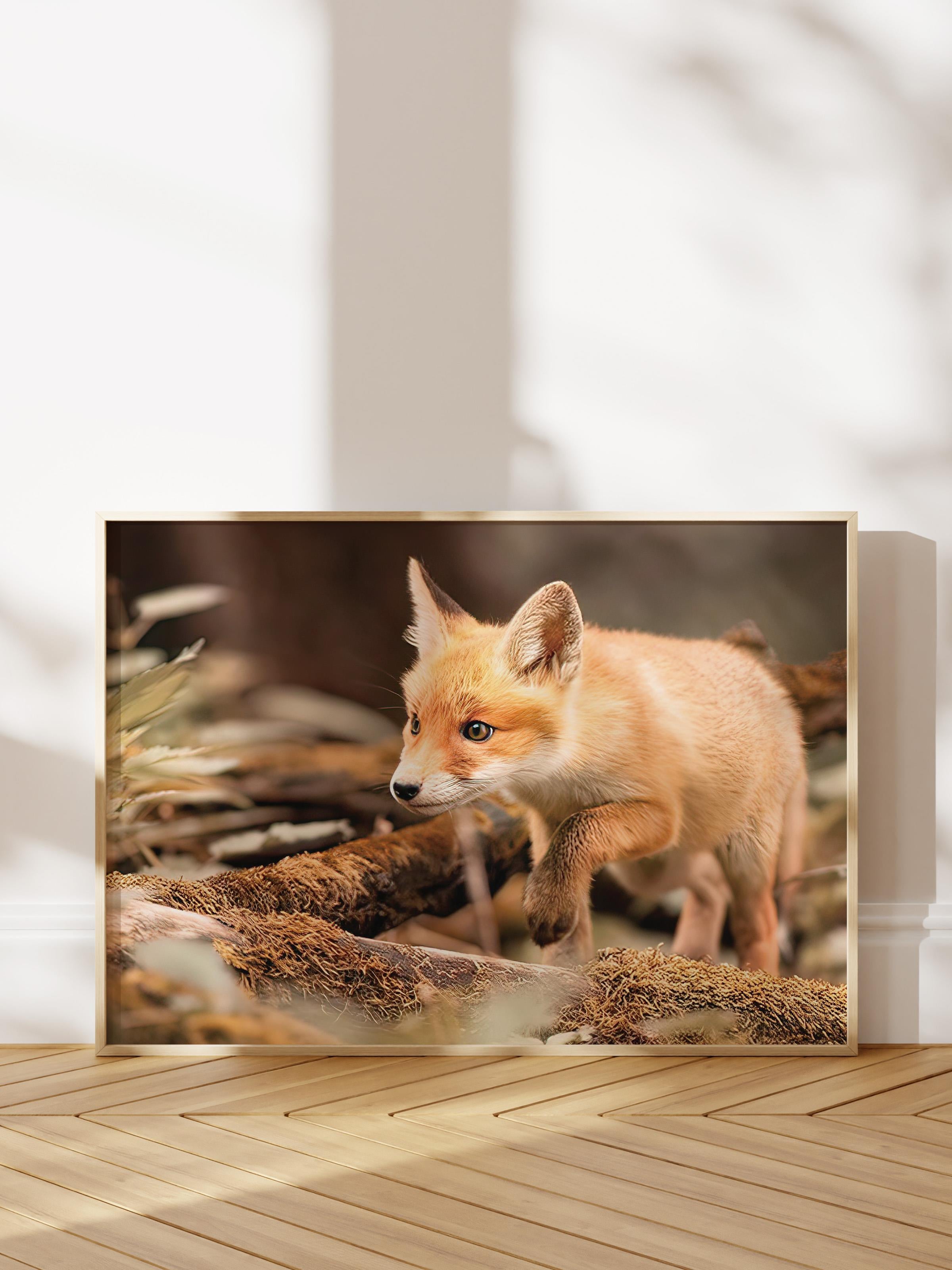 Forest Fox Poster, Çerçevesiz Duvar Posteri, Yatay Duvar Tablosu Comfort Serisi NO:108349