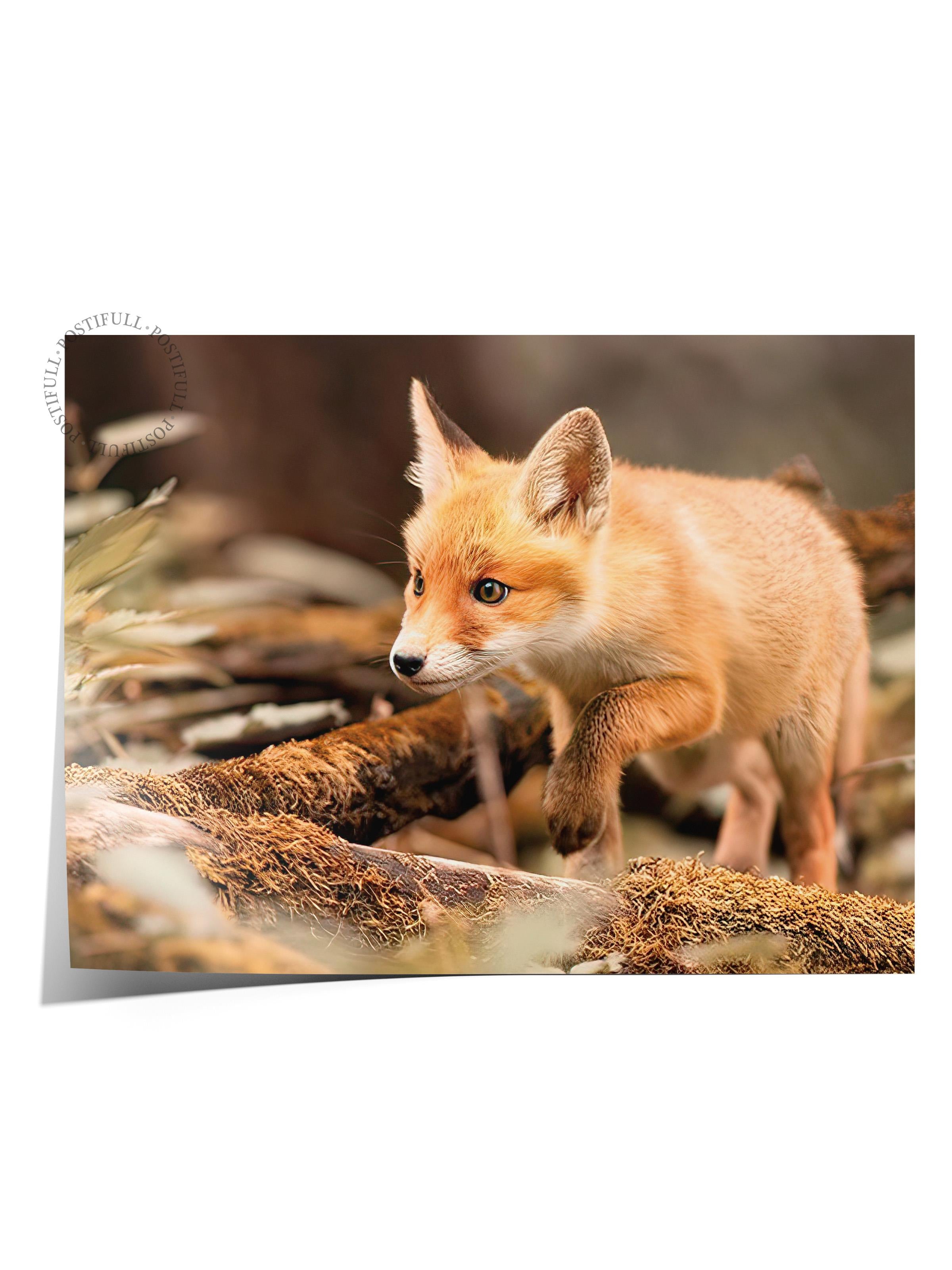 Forest Fox Poster, Çerçevesiz Duvar Posteri, Yatay Duvar Tablosu Comfort Serisi NO:108349