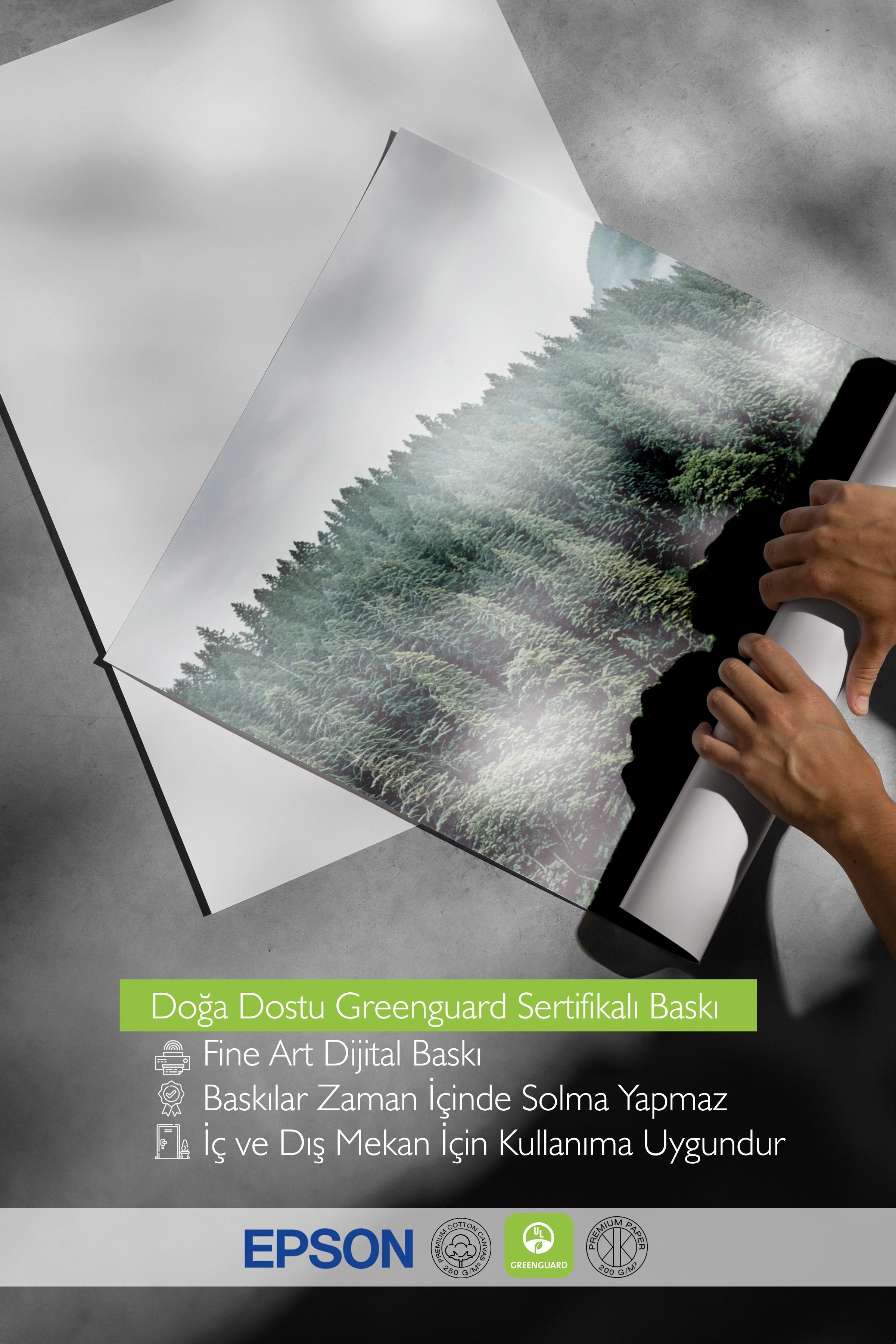Forest Landscape No1 Poster, Dikey Duvar Tablosu Comfort Serisi NO:108397