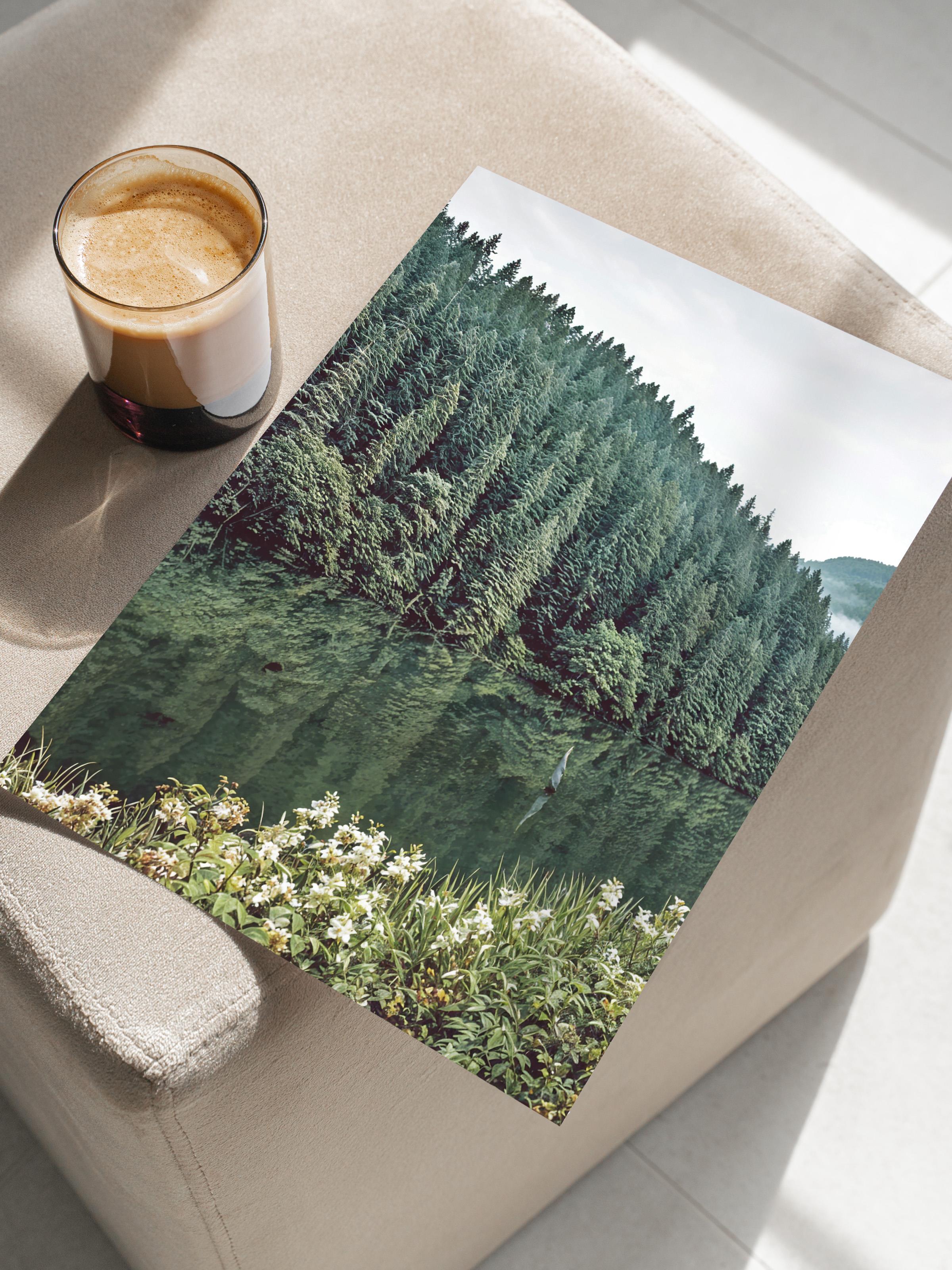 Forest Landscape No1 Poster, Dikey Duvar Tablosu Comfort Serisi NO:108397