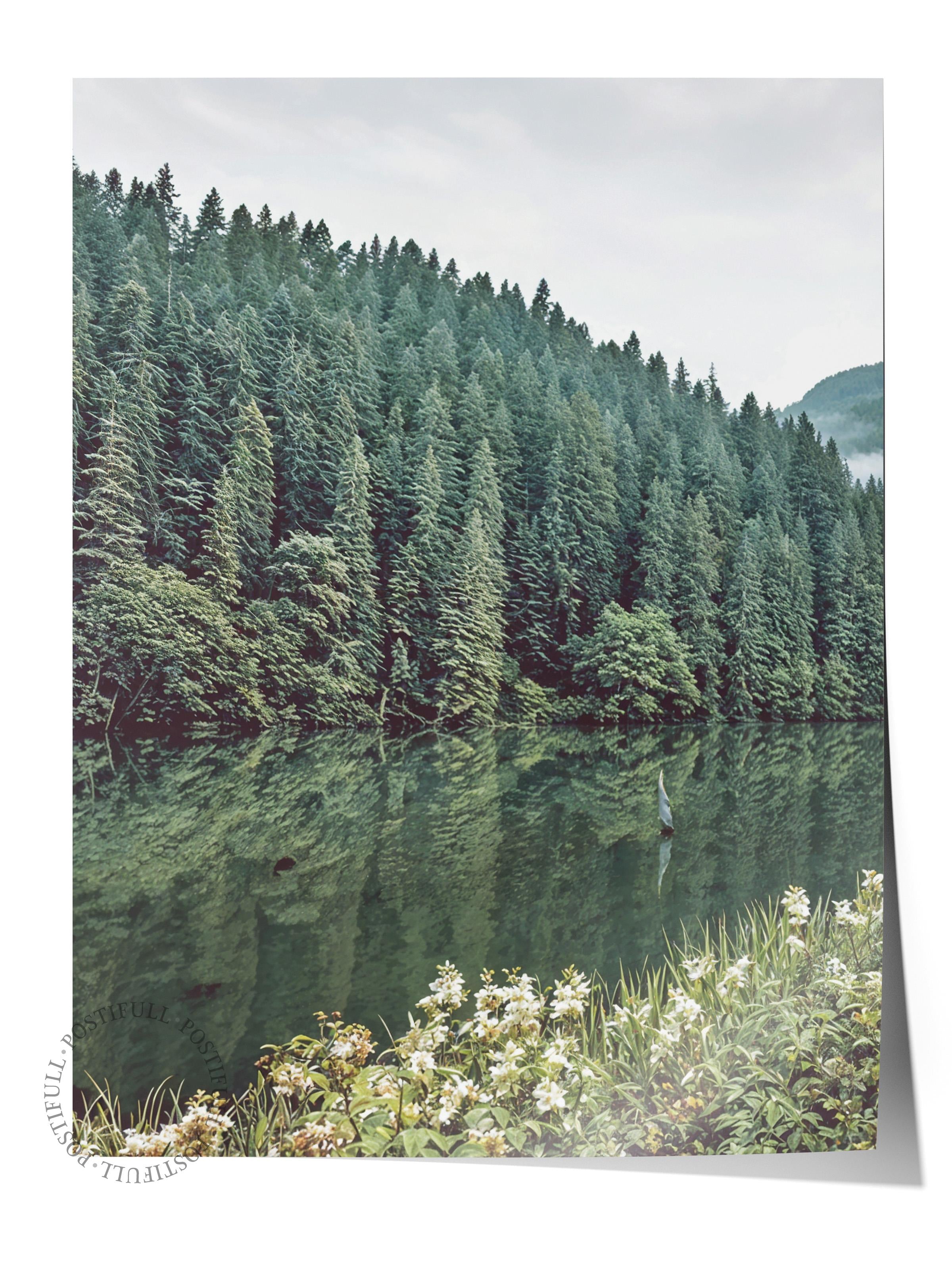 Forest Landscape No1 Poster, Dikey Duvar Tablosu Comfort Serisi NO:108397