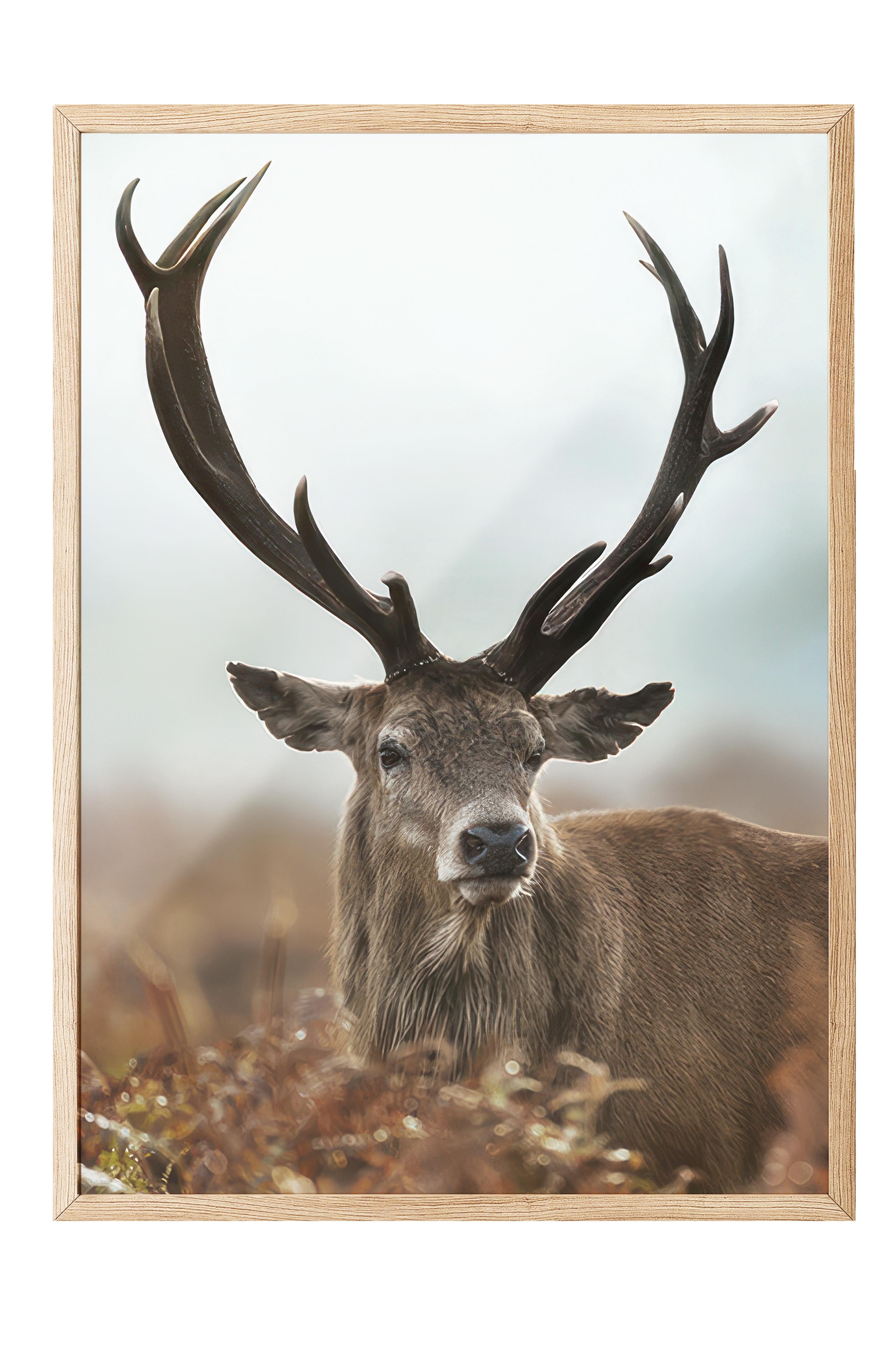 Forest Stag Çerçeveli Tablo, Ahşap Çerçeve ve Poster, Dikey Duvar Tablosu Comfort Serisi NO:108443