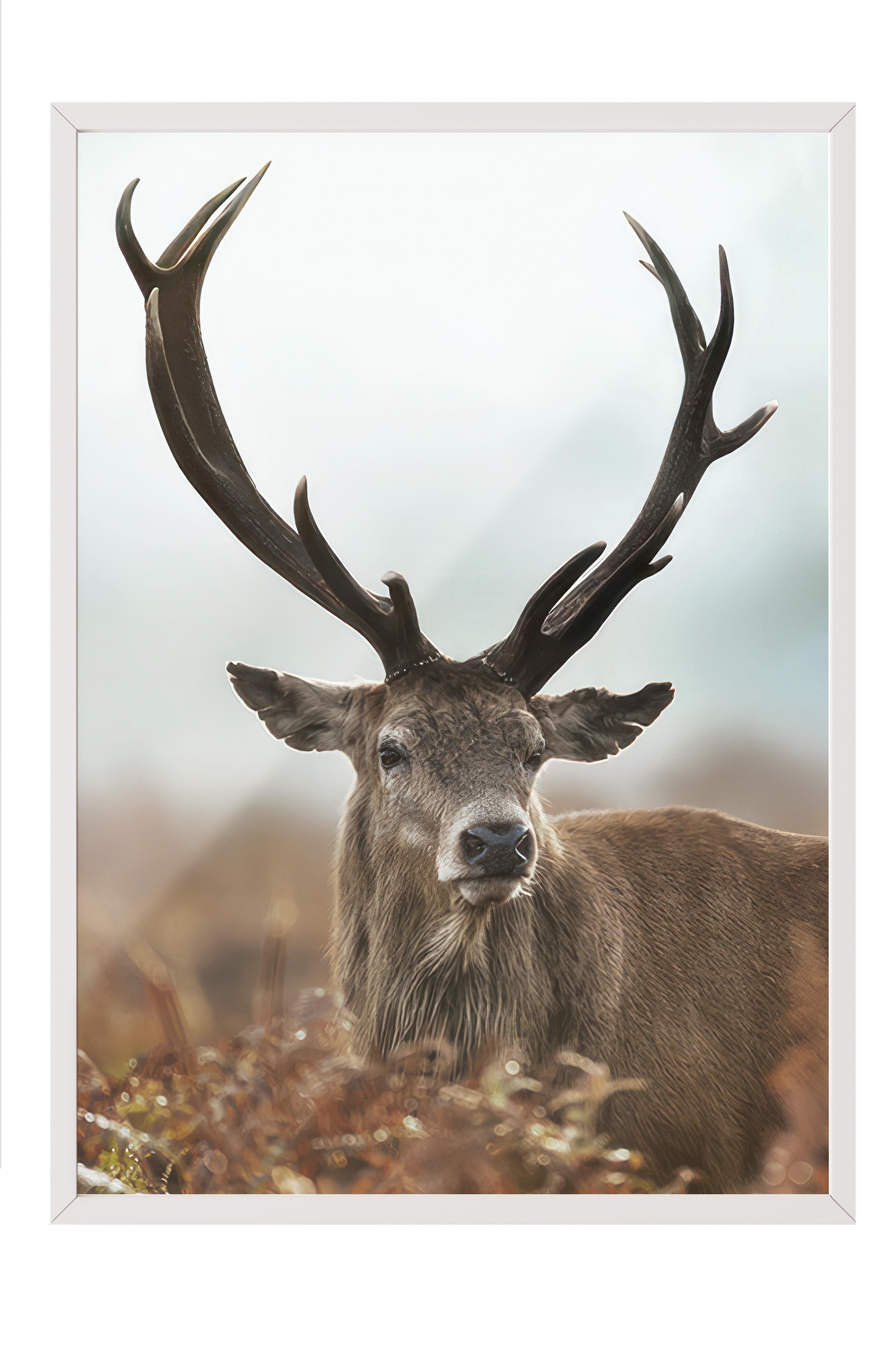 Forest Stag Çerçeveli Tablo, Beyaz Çerçeve ve Poster, Dikey Duvar Tablosu Comfort Serisi NO:108443