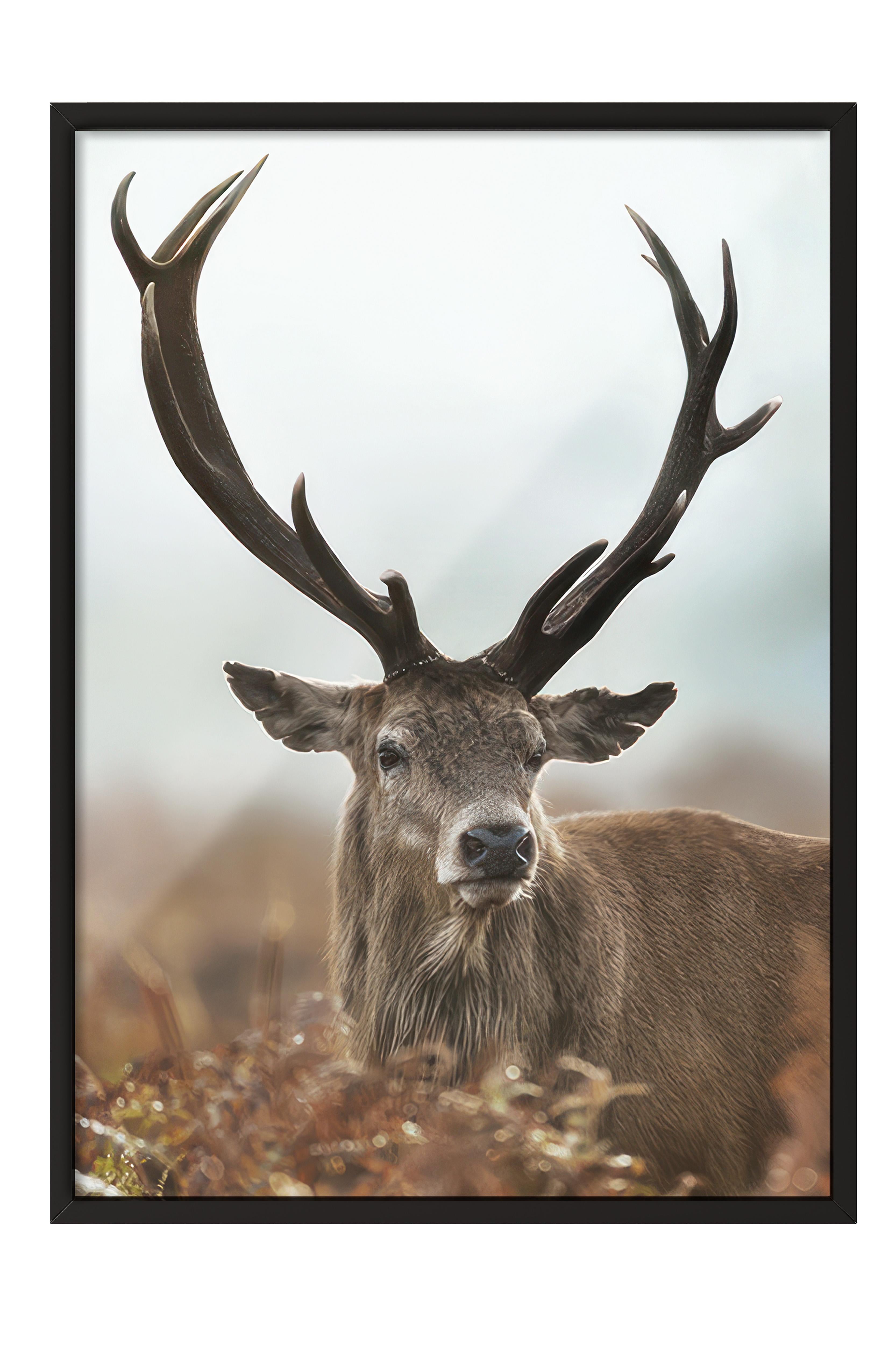Forest Stag Çerçeveli Tablo, Siyah Çerçeve ve Poster, Dikey Duvar Tablosu Comfort Serisi NO:108443