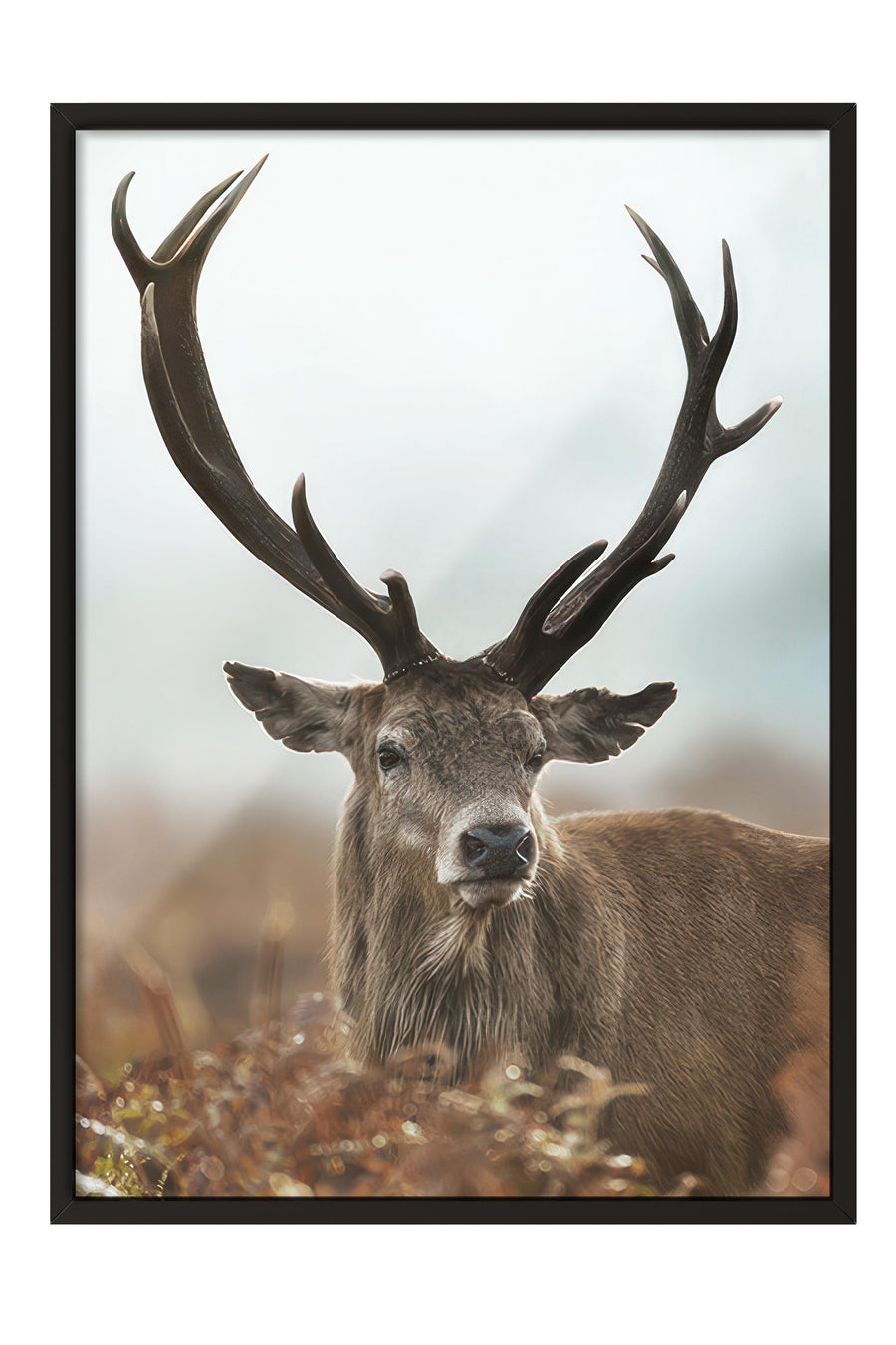 Forest Stag Çerçeveli Tablo, Siyah Çerçeve ve Poster, Dikey Duvar Tablosu Comfort Serisi NO:108443