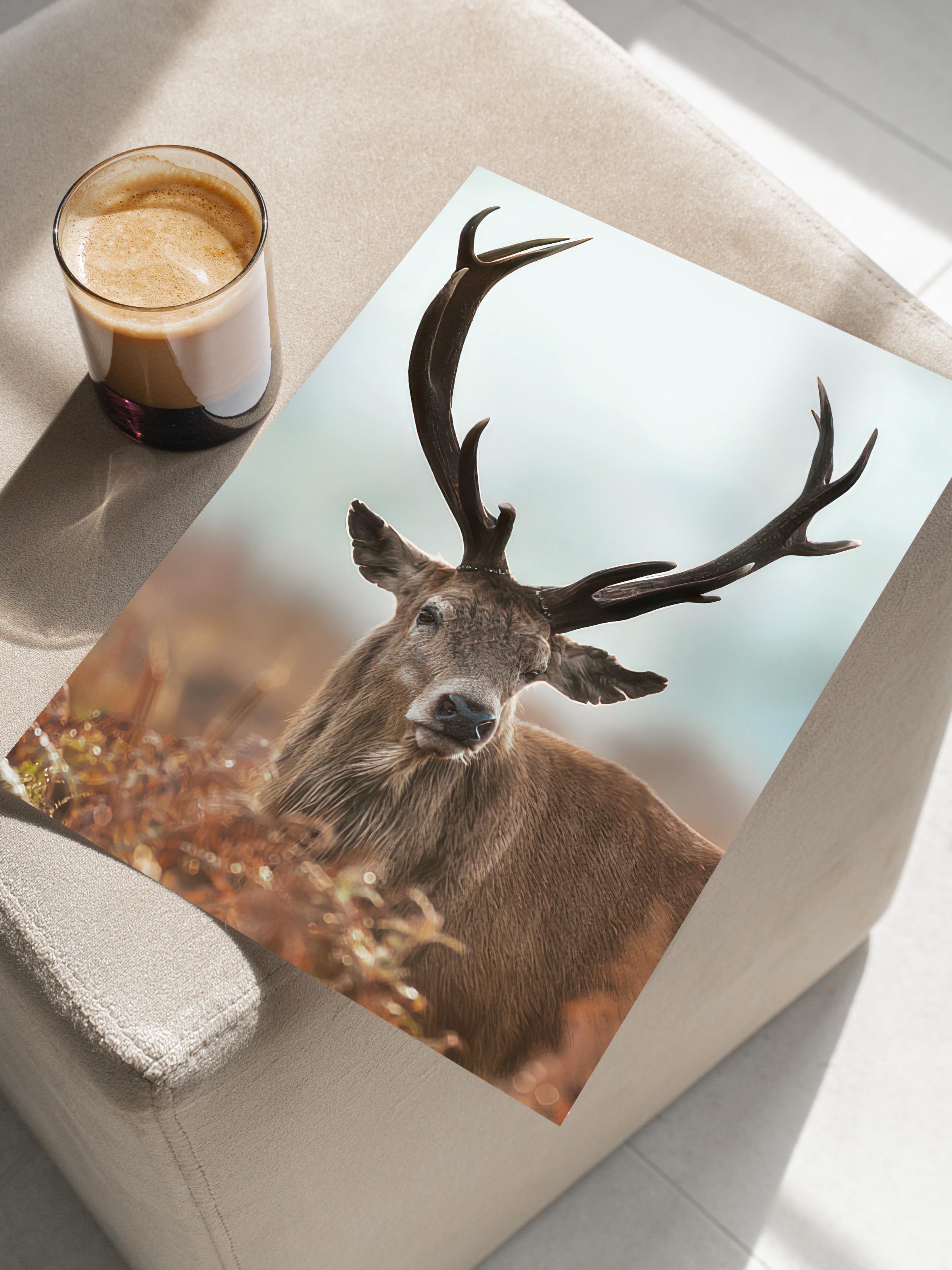 Forest Stag Poster, Çerçevesiz Duvar Posteri, Dikey Duvar Tablosu Comfort Serisi NO:108443
