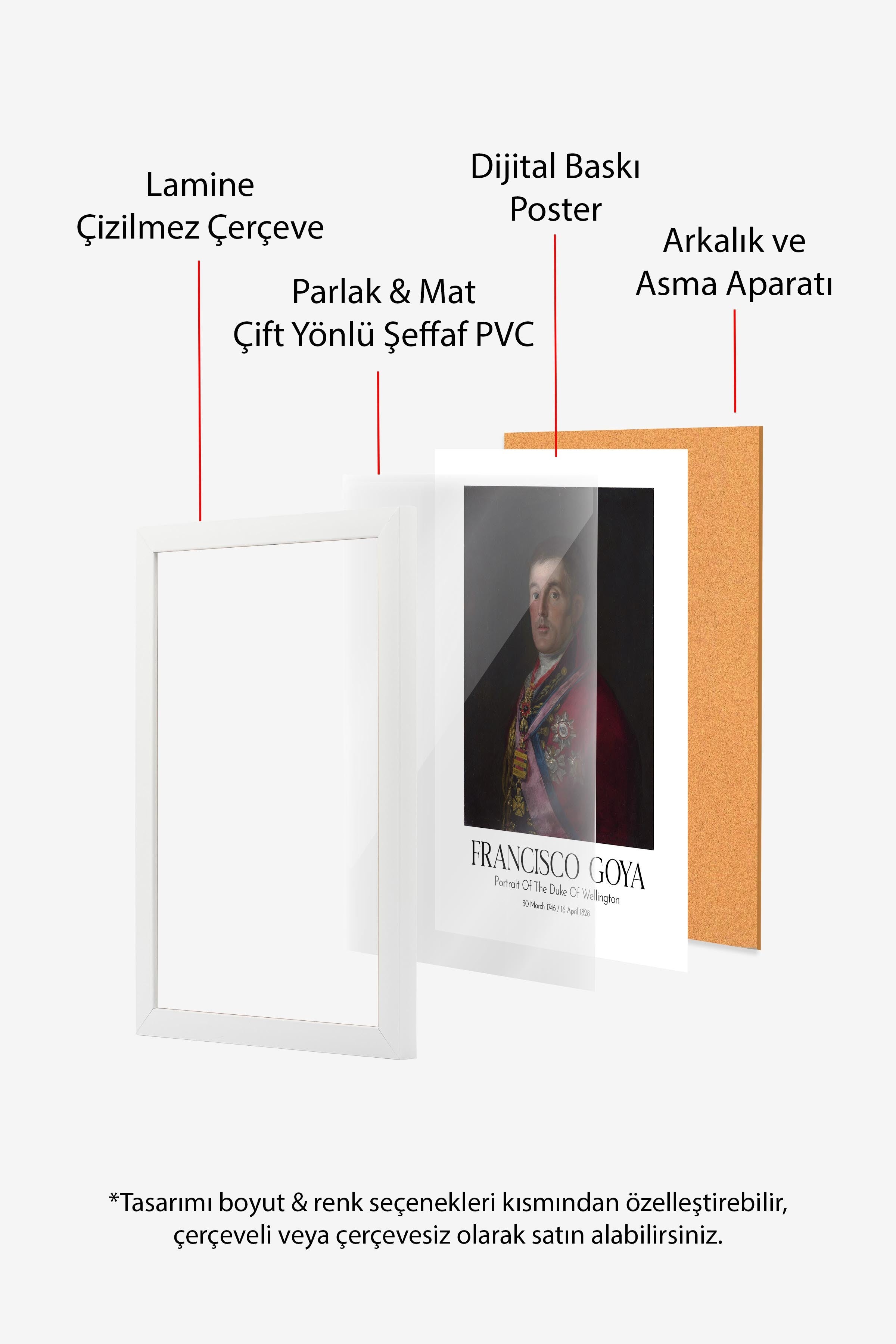 Francisco Goya - Portrait Of The Duke Of Wellington, Beyaz Çerçeveli Tablo, Sanat Serisi NO:111859