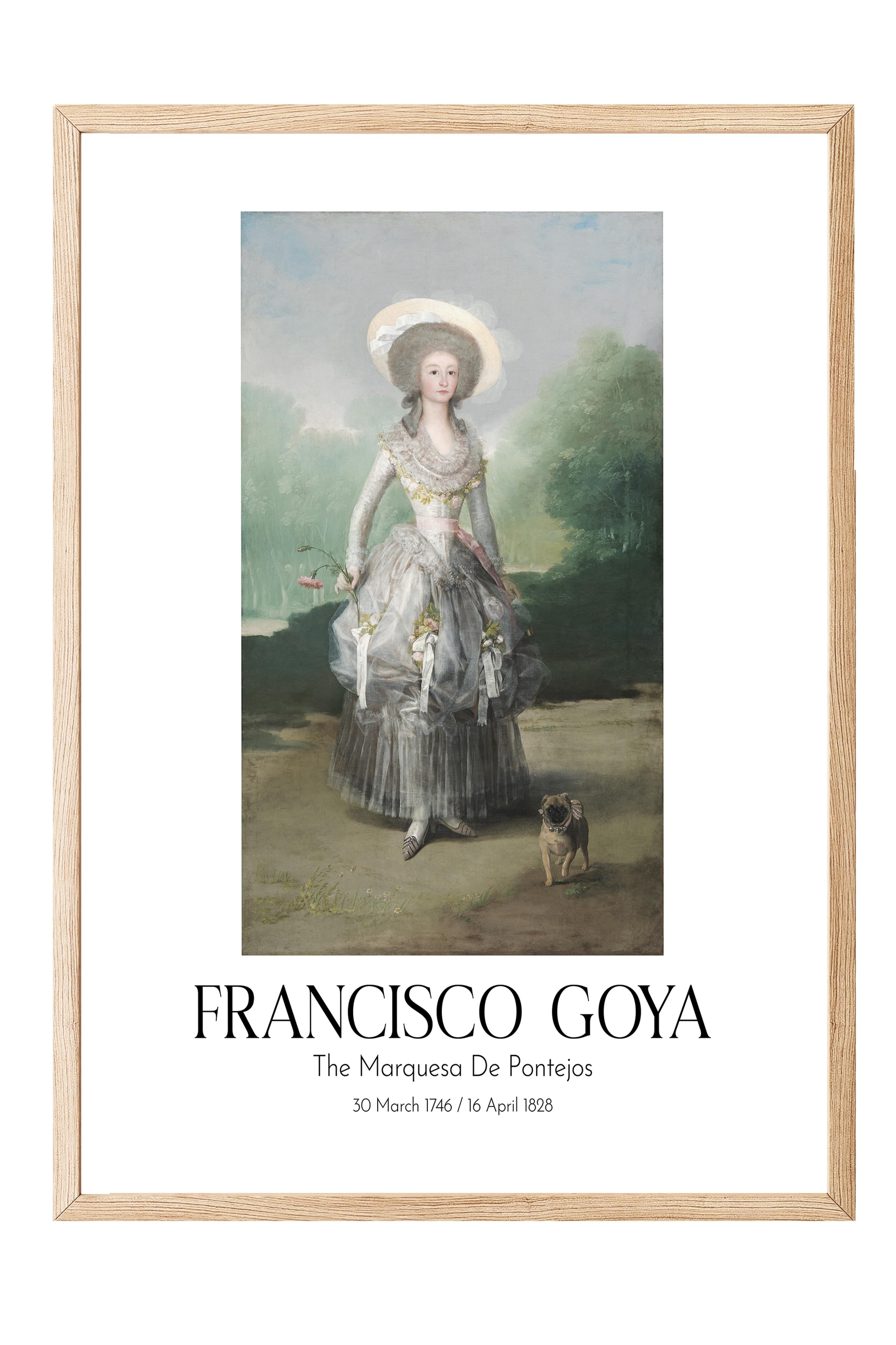 Francisco Goya - The Marquesa De Pontejos, Ahşap Çerçeveli Tablo, Sanat Serisi NO:111867