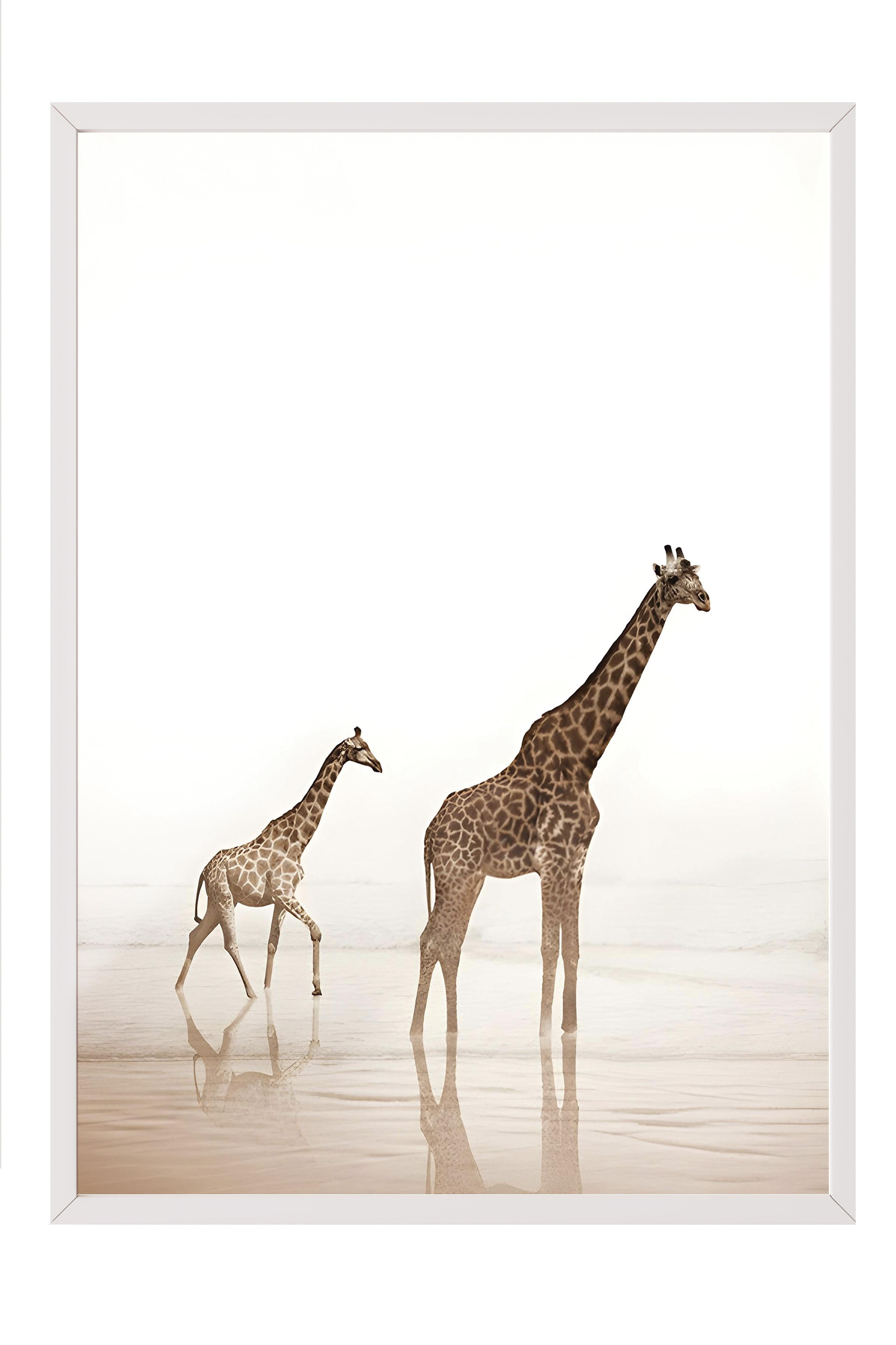 Giraffes by the dessert  Beyaz Çerçeveli Tablo, Duvar Tablosu Comfort Serisi NO:108345