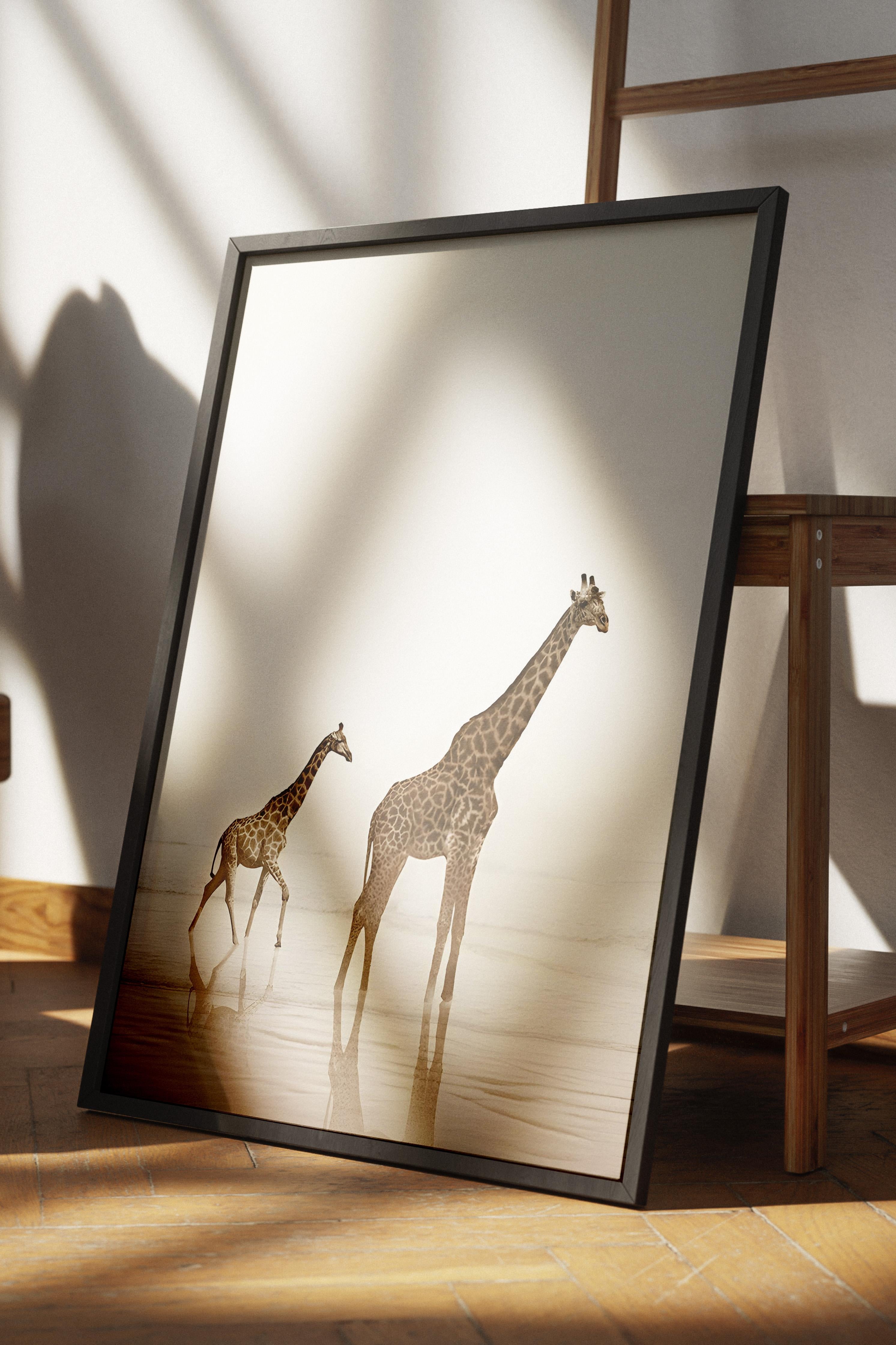 Giraffes by the dessert  Siyah Çerçeveli Tablo, Duvar Tablosu Comfort Serisi NO:108345