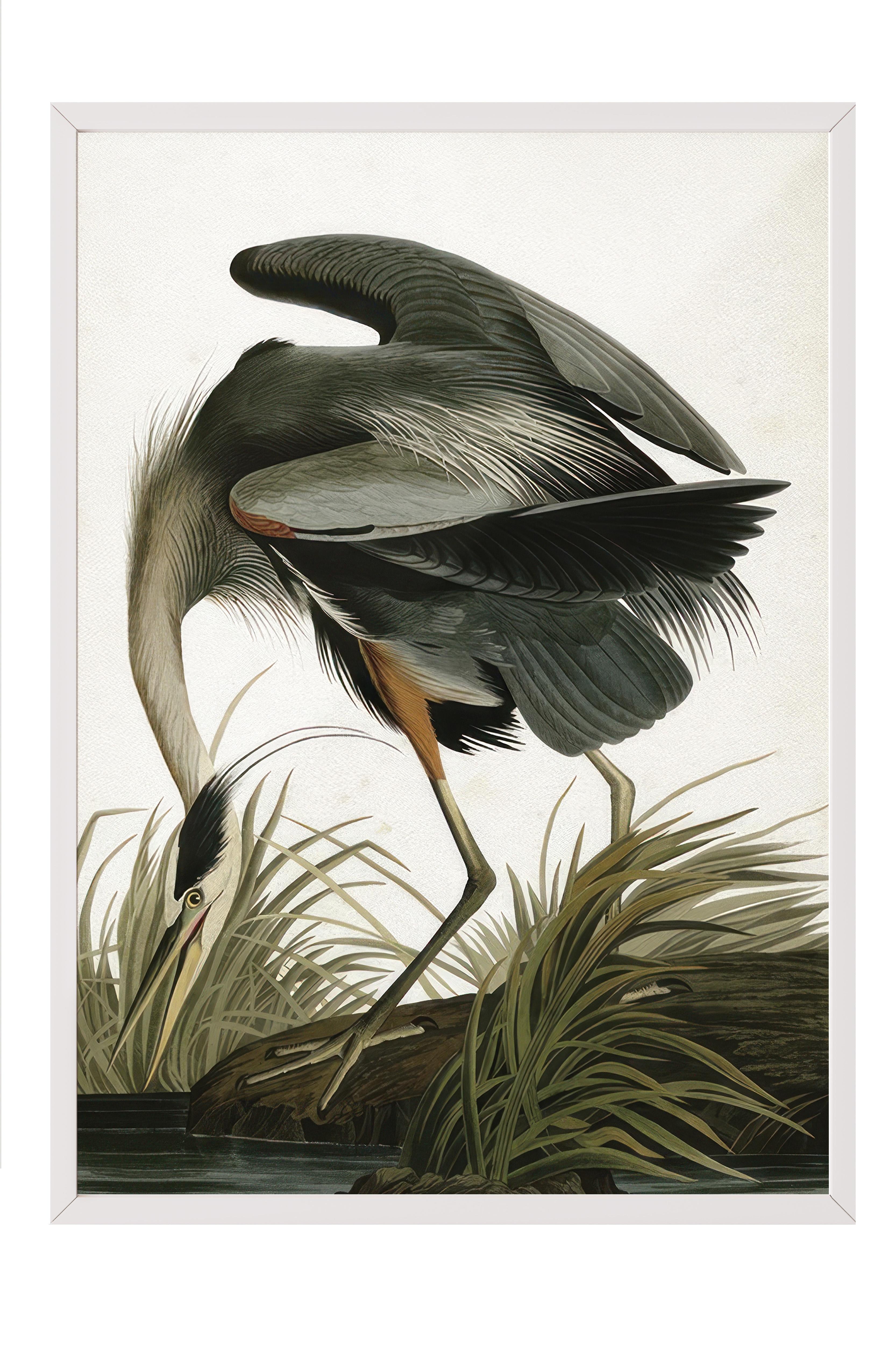 Great Heron Çerçeveli Tablo, Beyaz Çerçeve ve Poster, Dikey Duvar Tablosu Comfort Serisi NO:108502