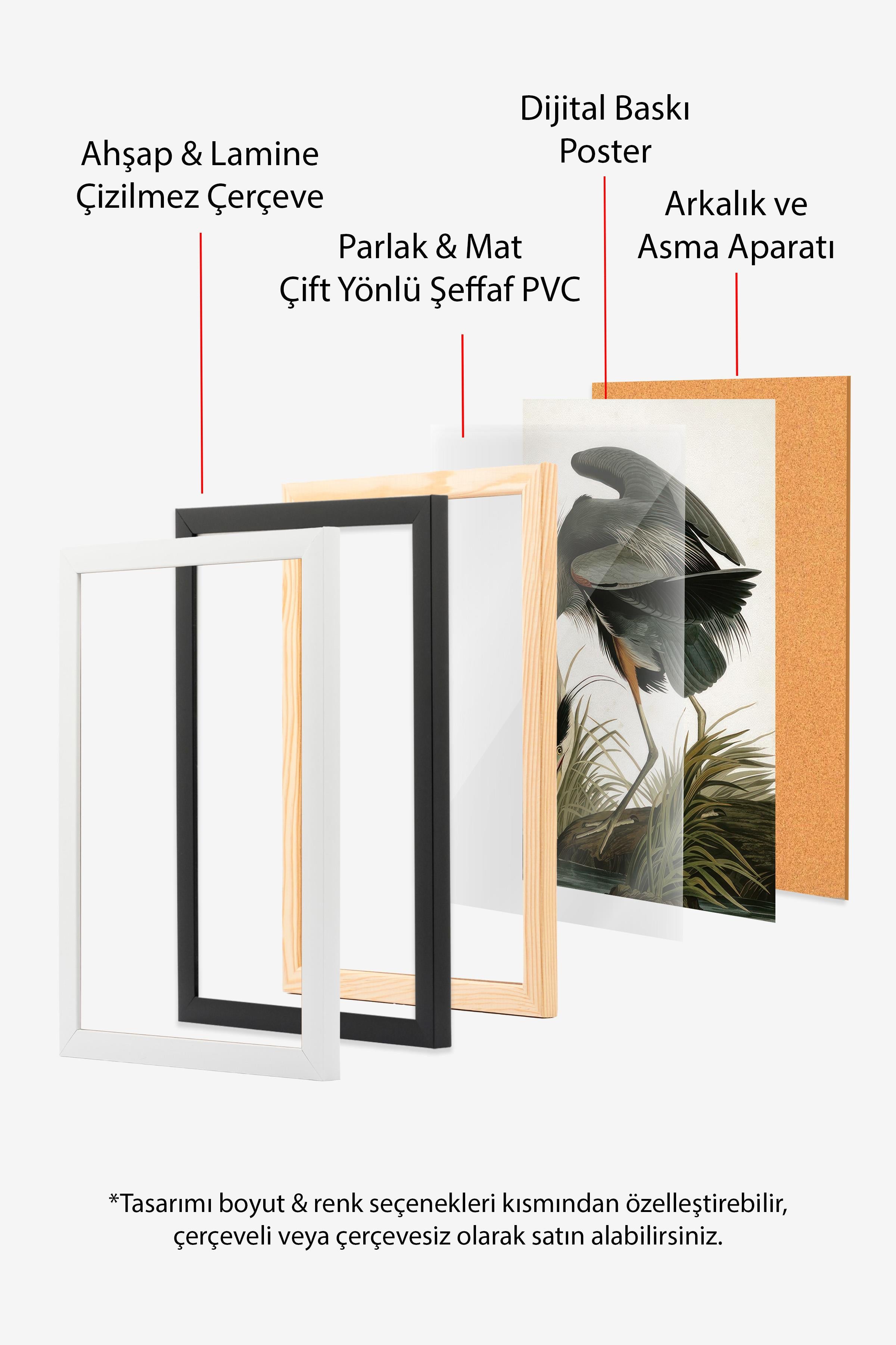 Great Heron Çerçeveli Tablo, Siyah Çerçeve ve Poster, Dikey Duvar Tablosu Comfort Serisi NO:108502