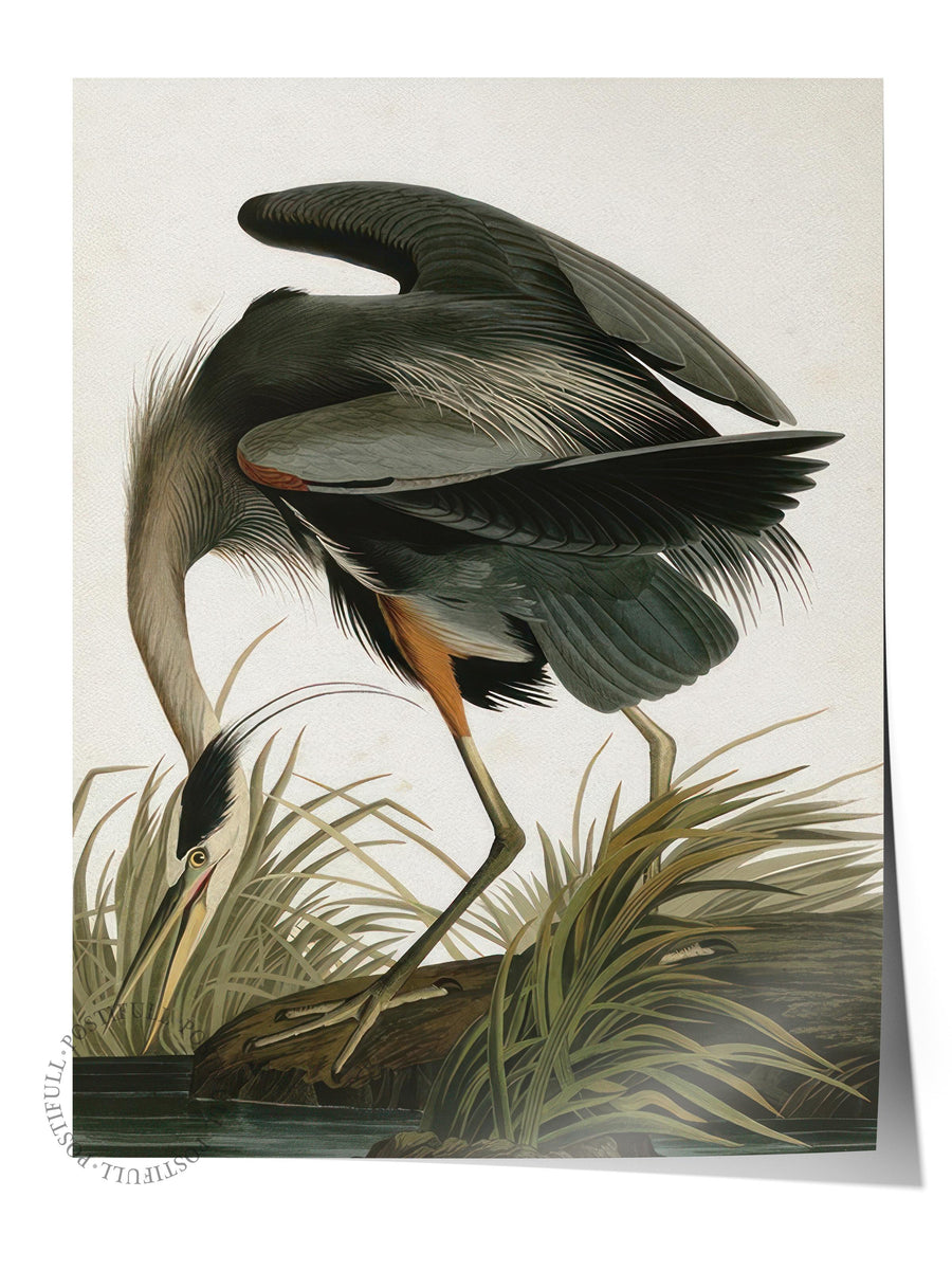 Great Heron Poster, Çerçevesiz Duvar Posteri, Dikey Duvar Tablosu Comfort Serisi NO:108502