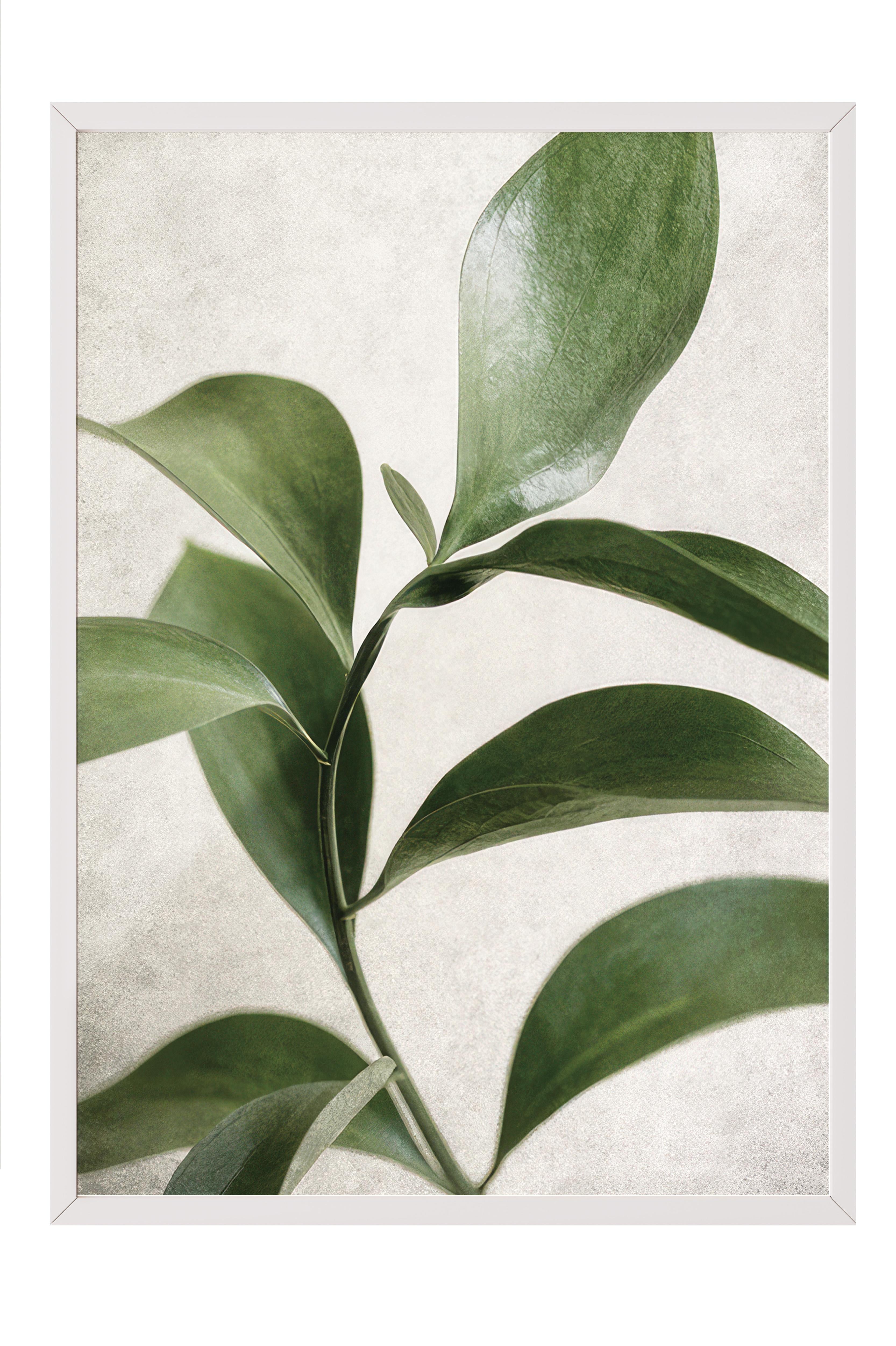 Green Botanical Çerçeveli Tablo, Beyaz Çerçeve ve Poster, Duvar Tablosu Comfort Serisi NO:108467