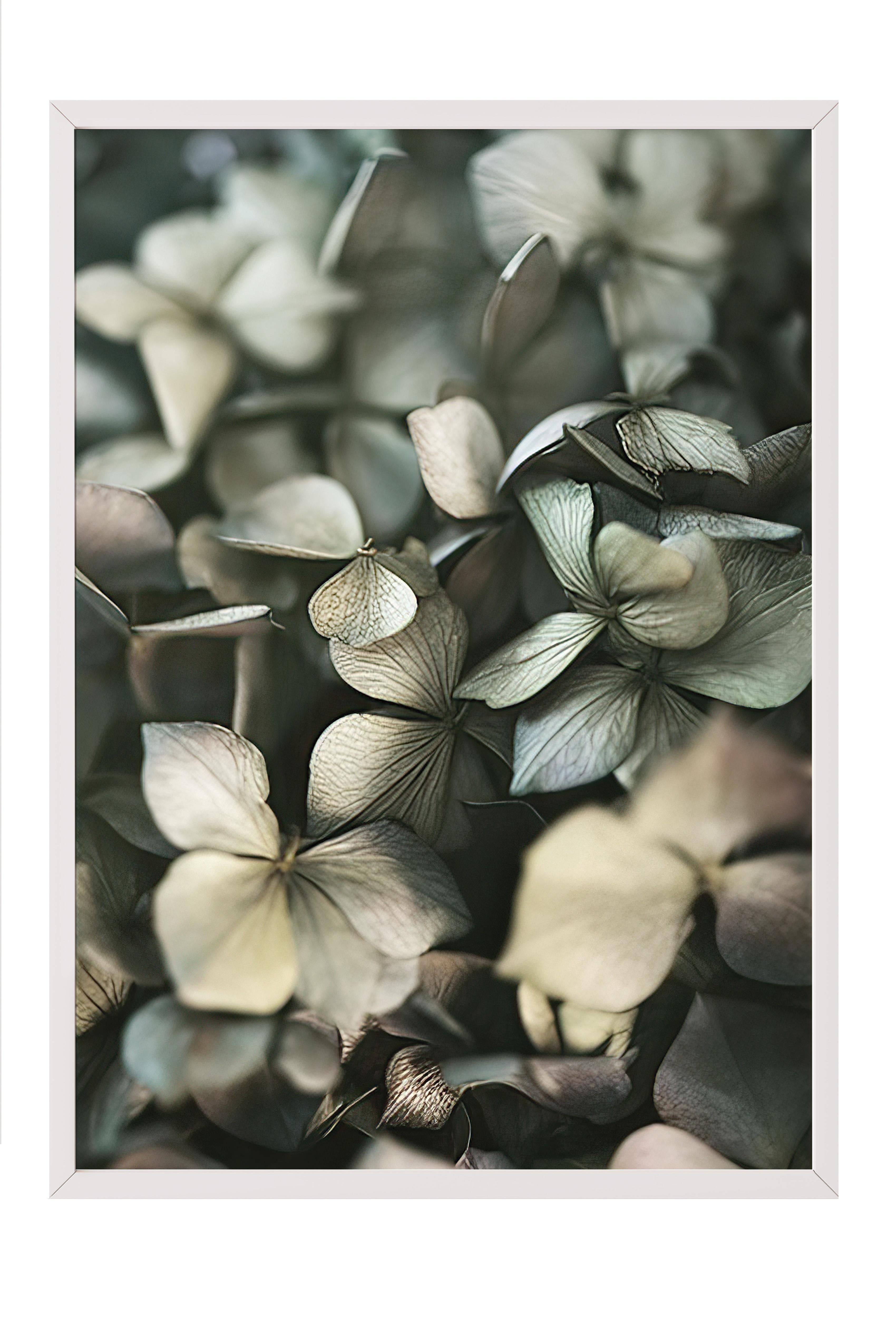 Green Hydrangea Çerçeveli Tablo, Beyaz Çerçeve ve Poster, Duvar Tablosu Comfort Serisi NO:108400