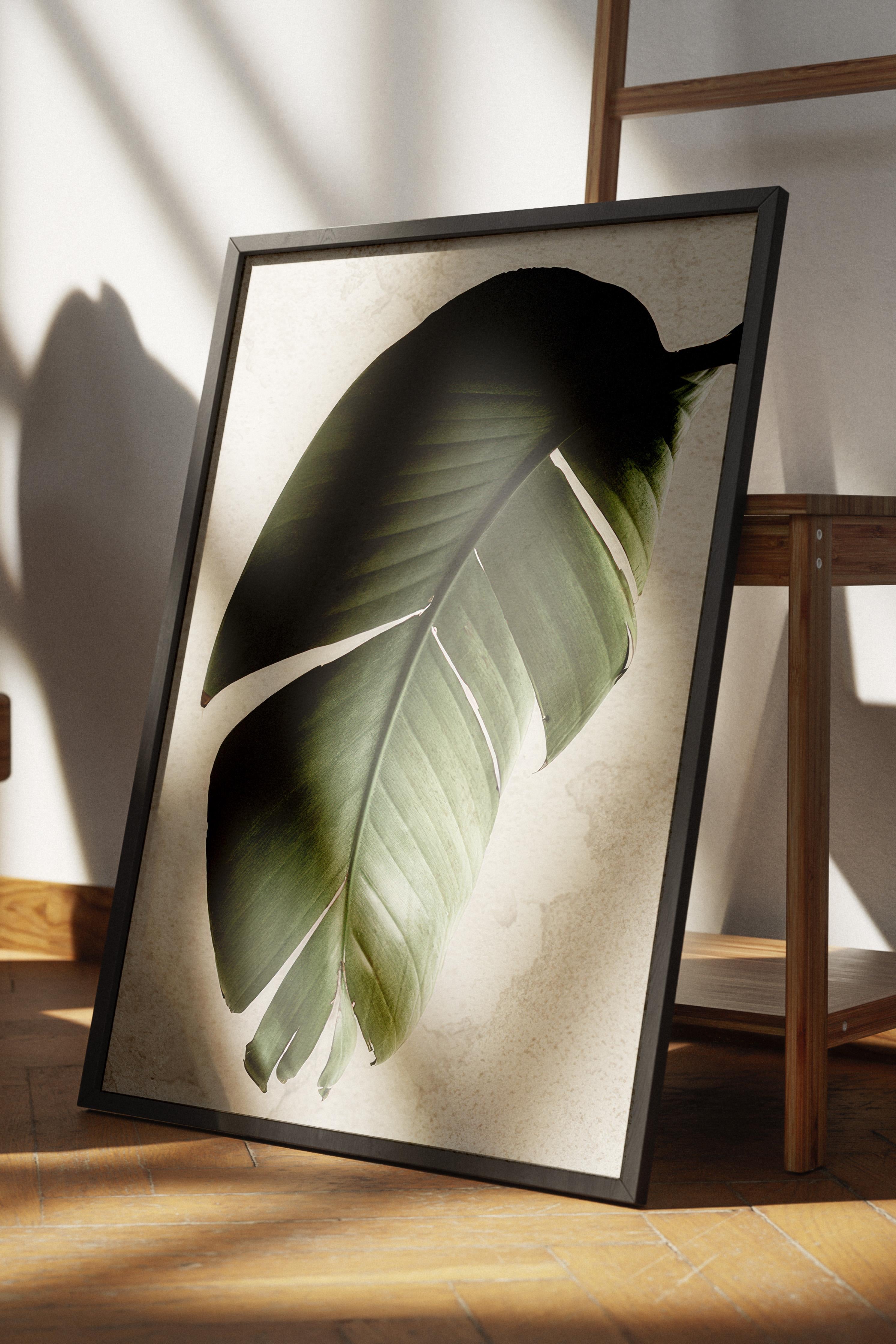 Green Strelitzia Leaf Siyah Çerçeveli Tablo, Duvar Tablosu Comfort Serisi NO:108550