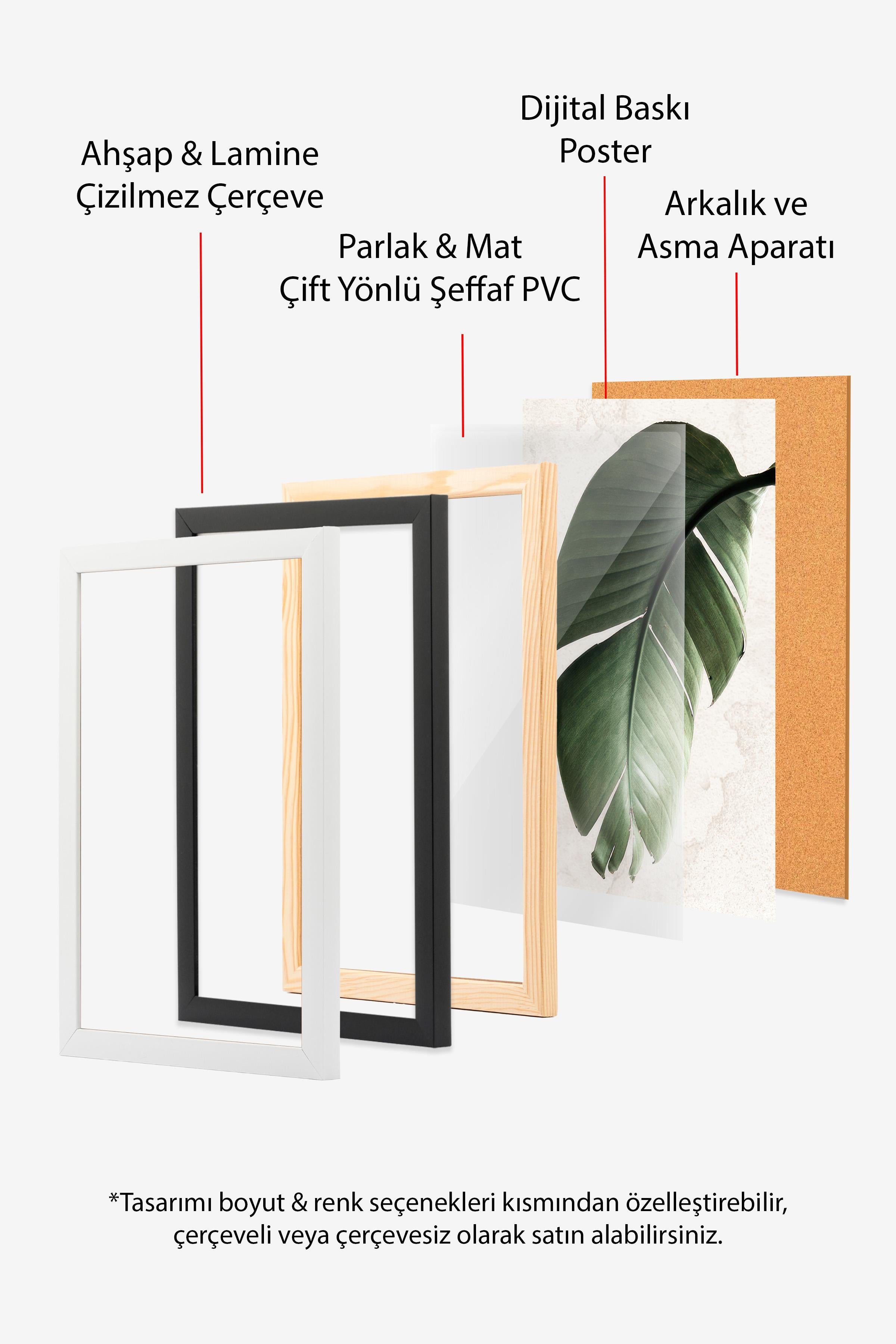 Green Strelitzia Leaf Siyah Çerçeveli Tablo, Duvar Tablosu Comfort Serisi NO:108550