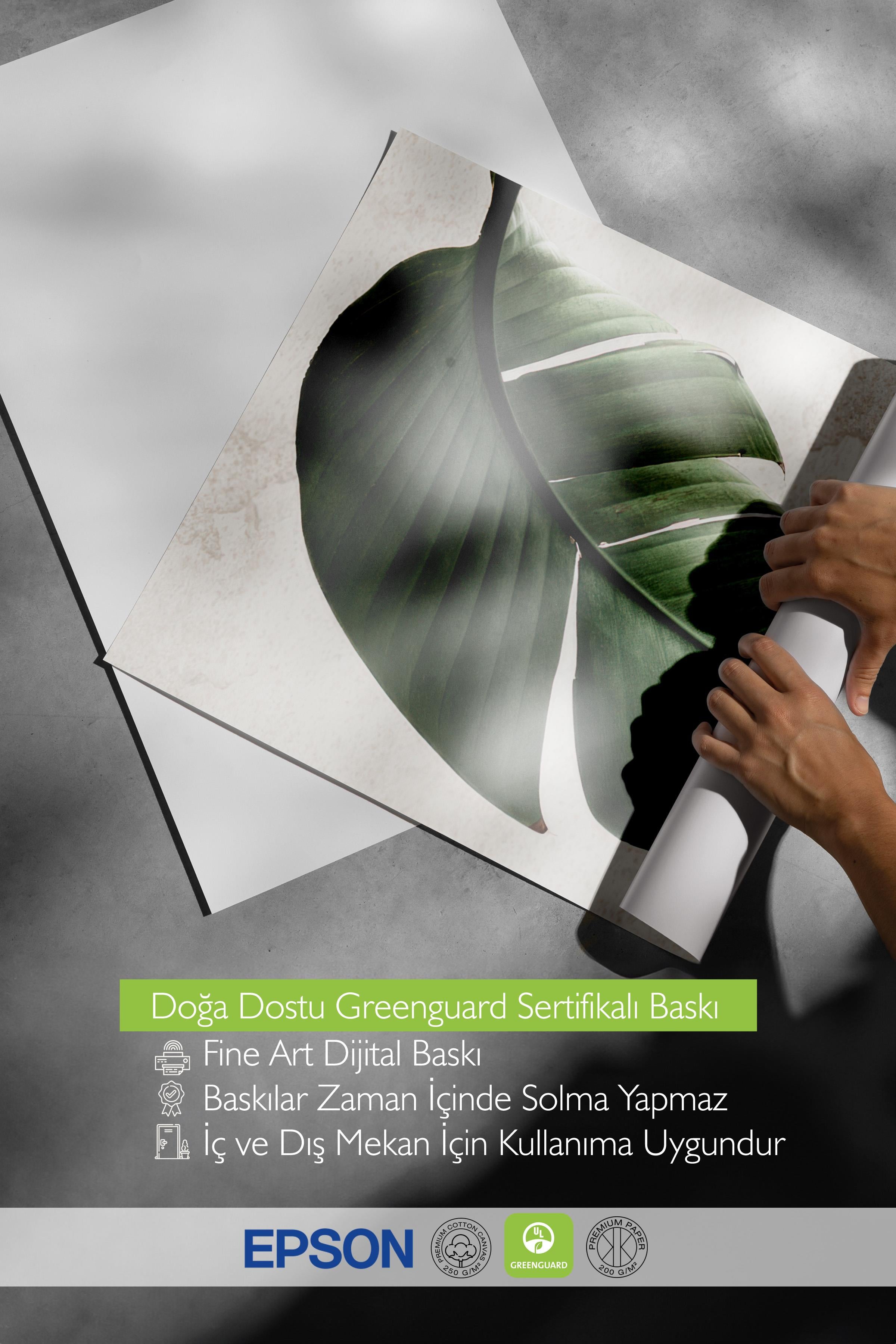 Green Strelitzia Leaf Poster, Dikey Duvar Tablosu Comfort Serisi NO:108550