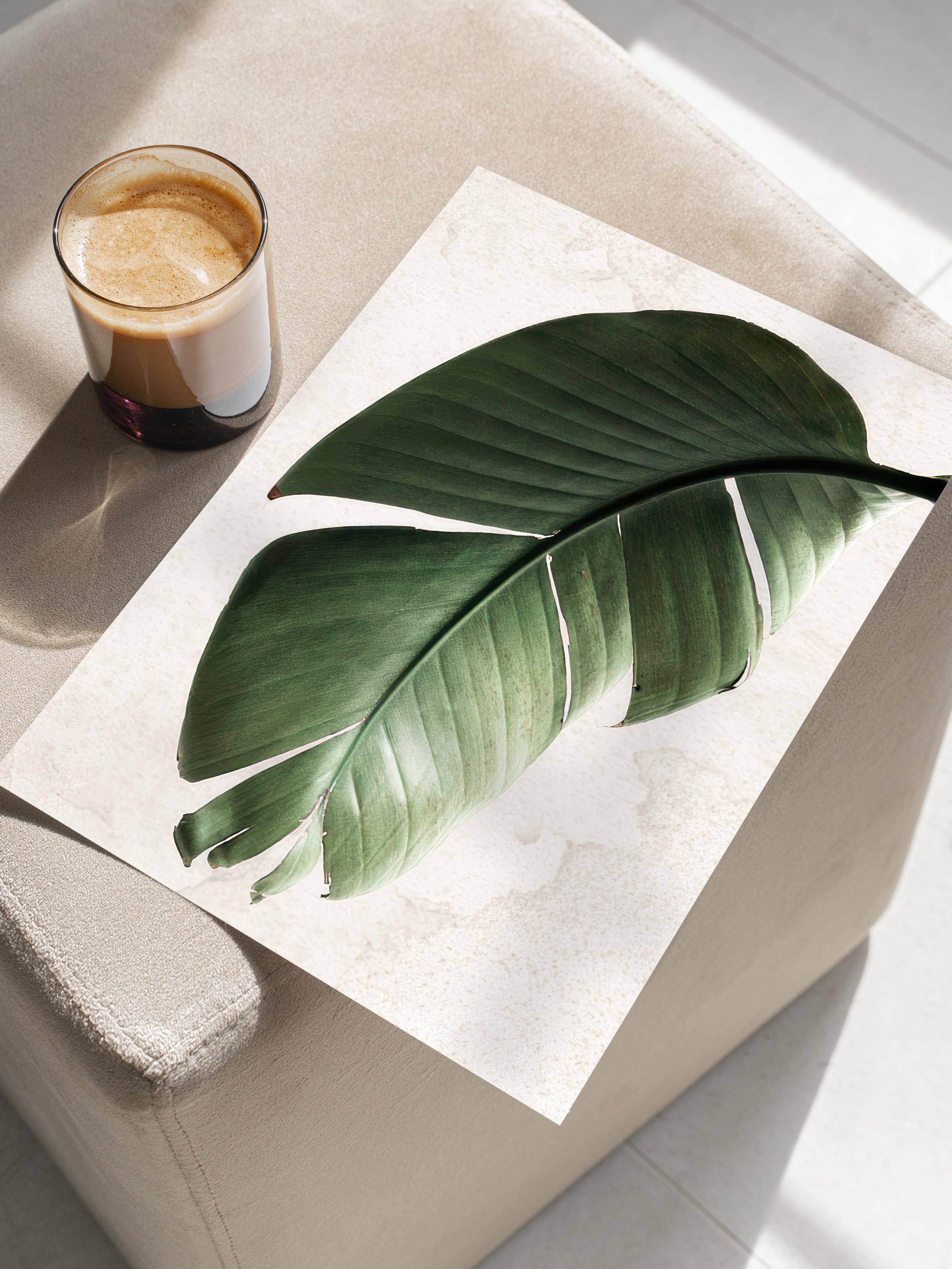 Green Strelitzia Leaf Poster, Dikey Duvar Tablosu Comfort Serisi NO:108550