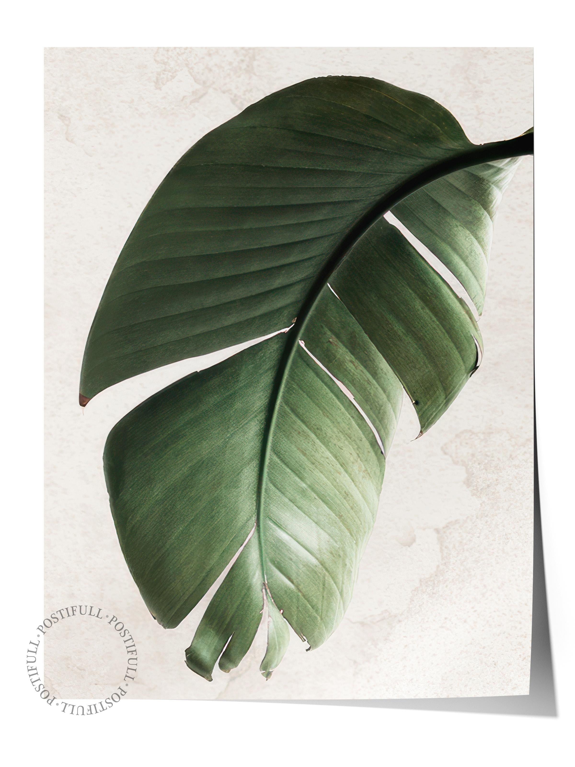Green Strelitzia Leaf Poster, Dikey Duvar Tablosu Comfort Serisi NO:108550