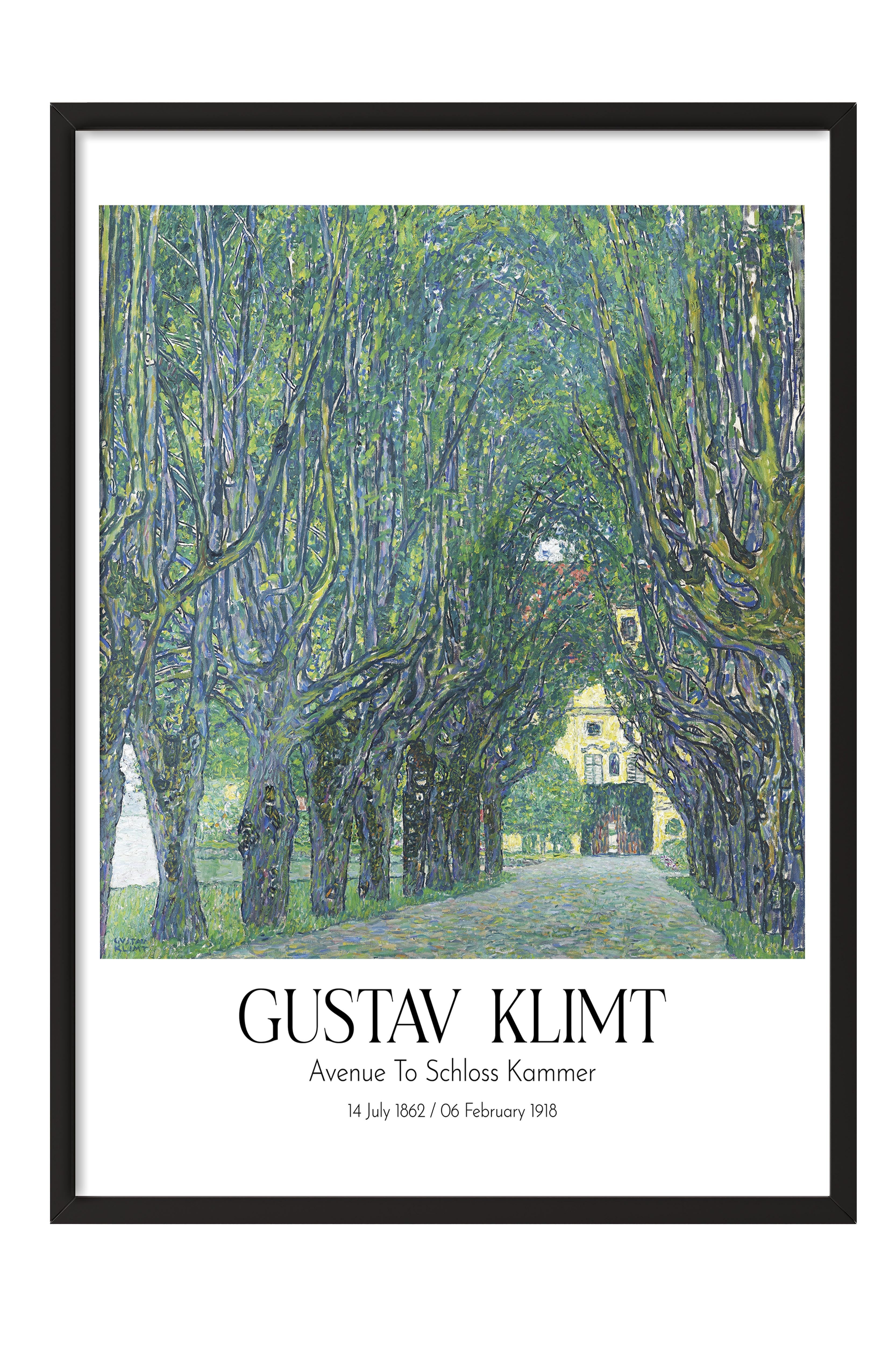 Gustav Klimt - Avenue To Schloss Kammer, Siyah Çerçeveli Tablo, Sanat Serisi NO:111987