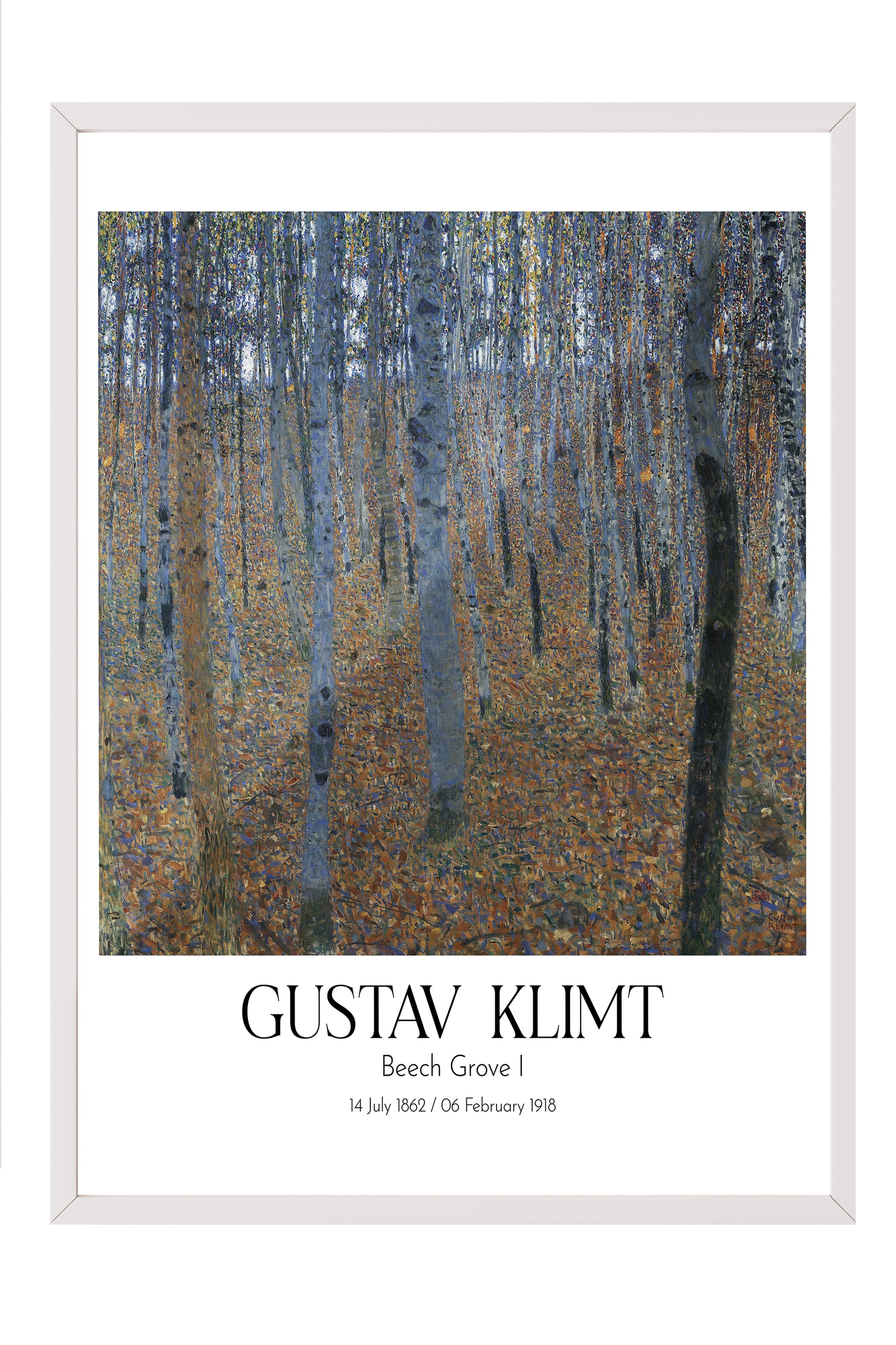 Gustav Klimt - Beech Grove I, Beyaz Çerçeveli Tablo, Sanat Serisi NO:111988