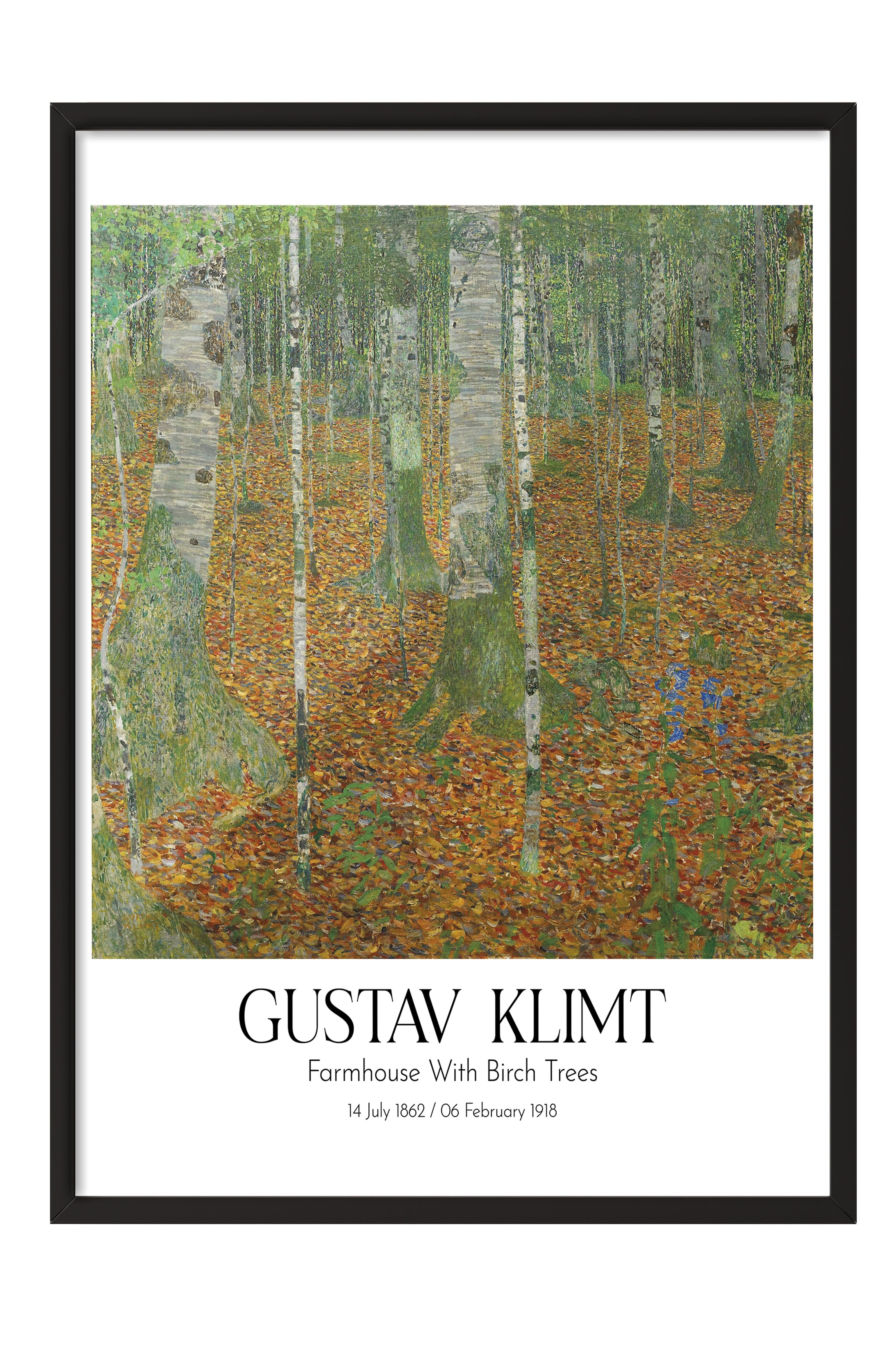 Gustav Klimt - Farmhouse With Birch Trees, Siyah Çerçeveli Tablo, Sanat Serisi NO:111991