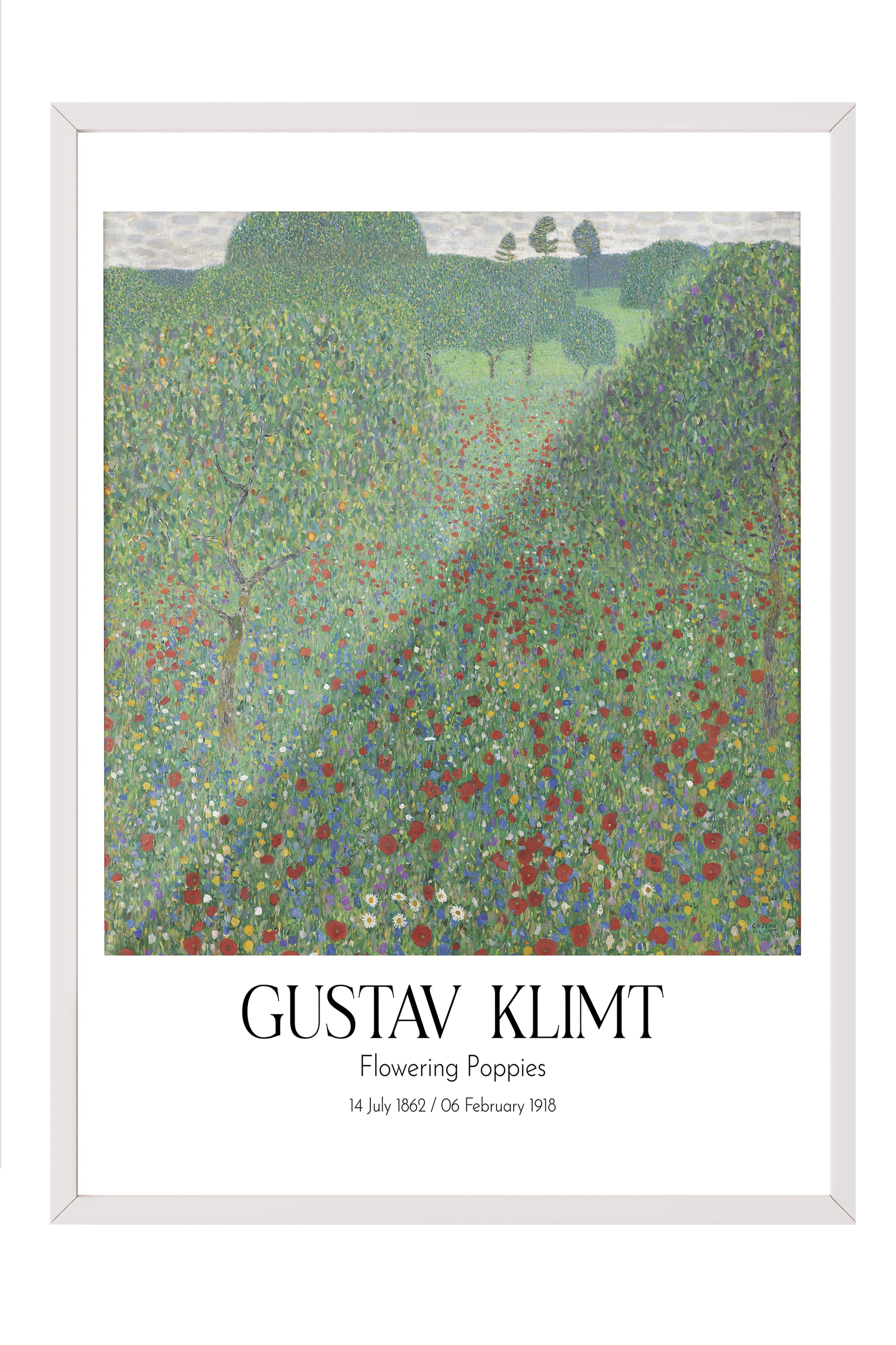 Gustav Klimt - Flowering Poppies, Beyaz Çerçeveli Tablo, Sanat Serisi NO:111972