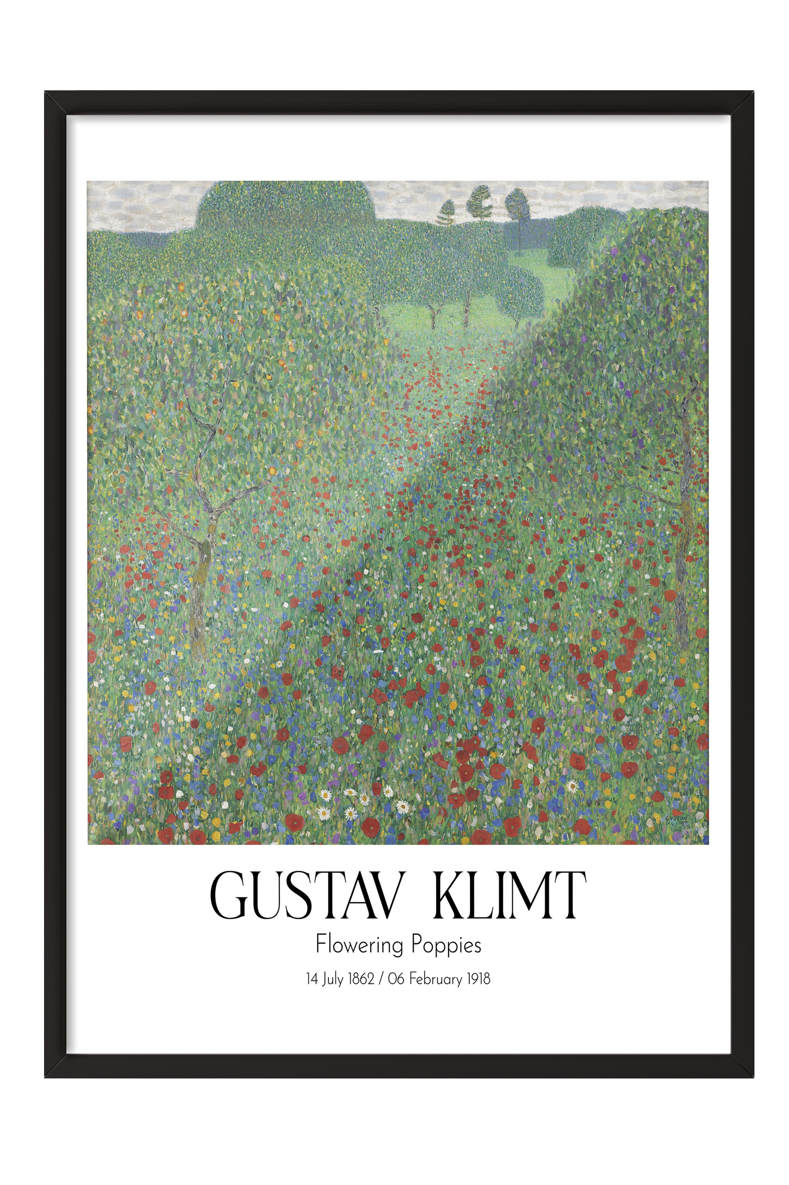 Gustav Klimt - Flowering Poppies, Siyah Çerçeveli Tablo, Sanat Serisi NO:111972