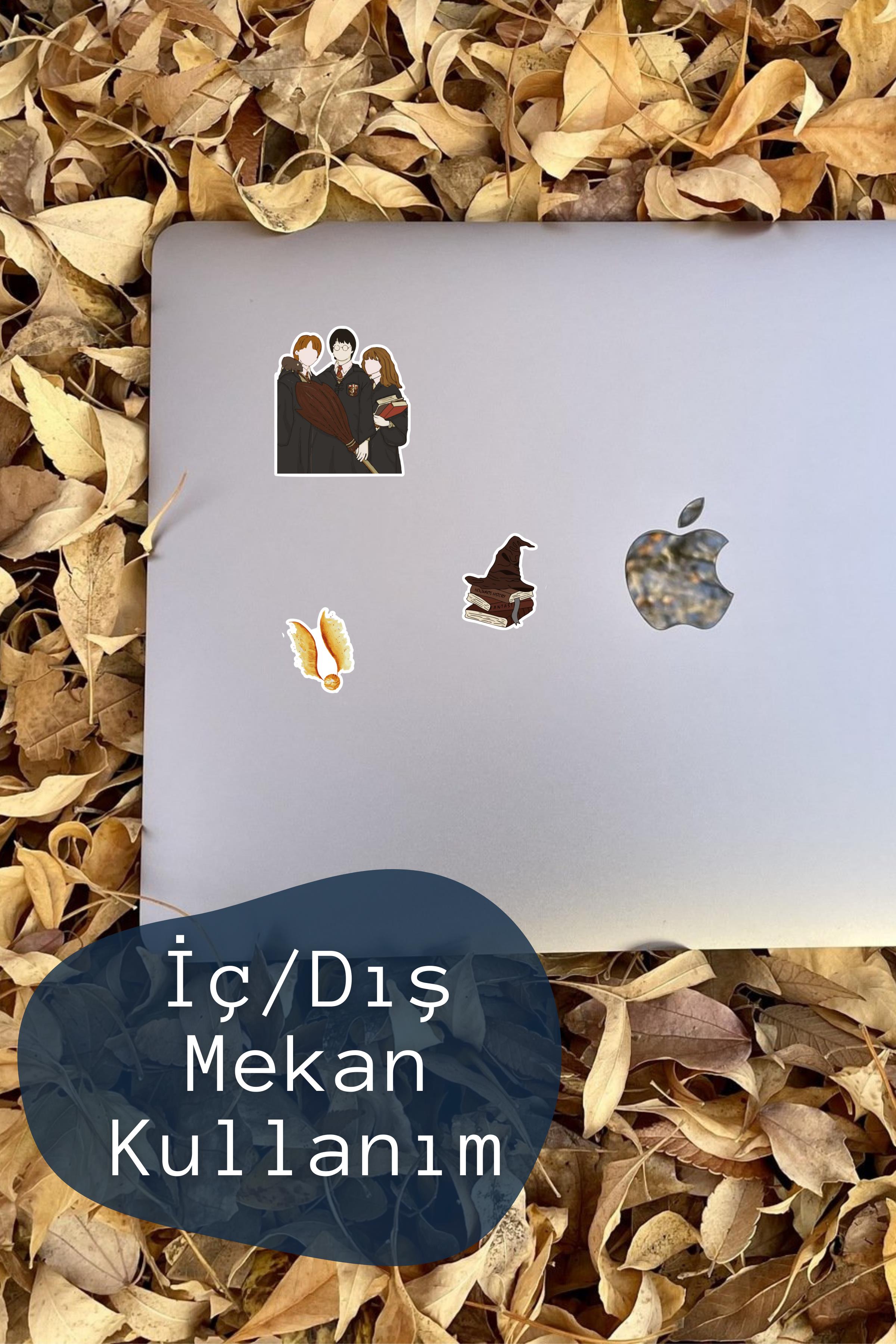 Harry Potter Temalı Sticker ve Etiket Seti - Orta Boy - Su Geçirmez, Kalın Yapışkanlı Sticker Seti