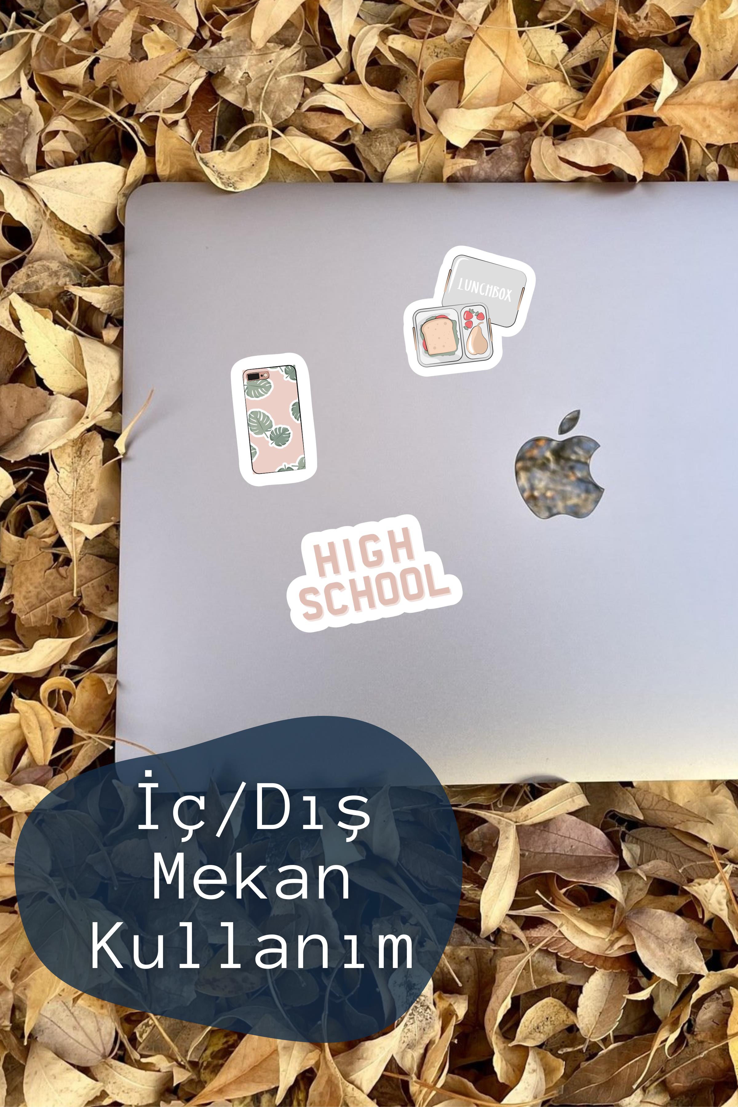 Lise Temalı Sticker ve Etiket Seti - Orta Boy - Su Geçirmez, Kalın Yapışkanlı Sticker Seti