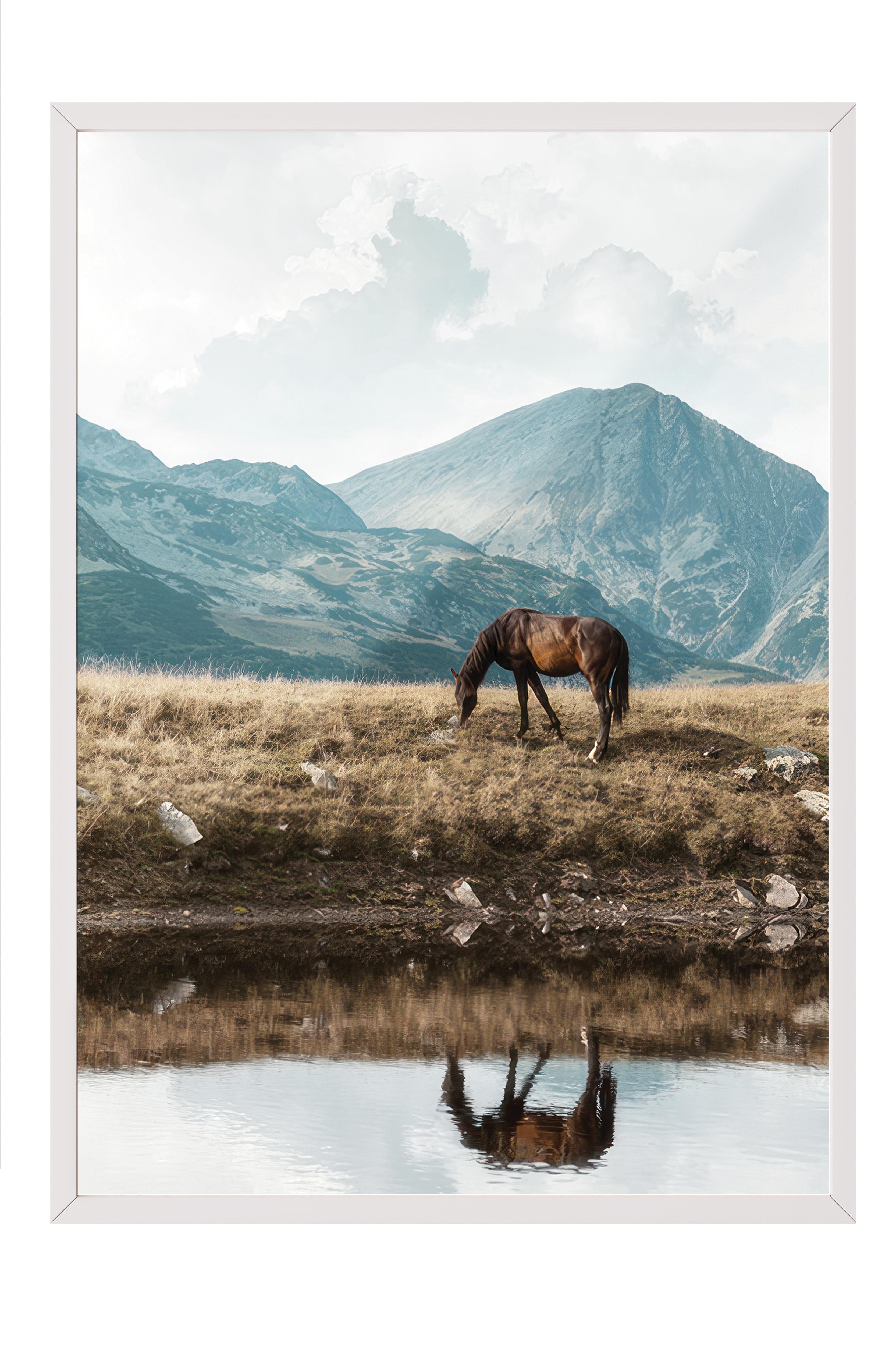 Highland Horse  Çerçeveli Tablo, Beyaz Çerçeve ve Poster, Duvar Tablosu Comfort Serisi NO:108446
