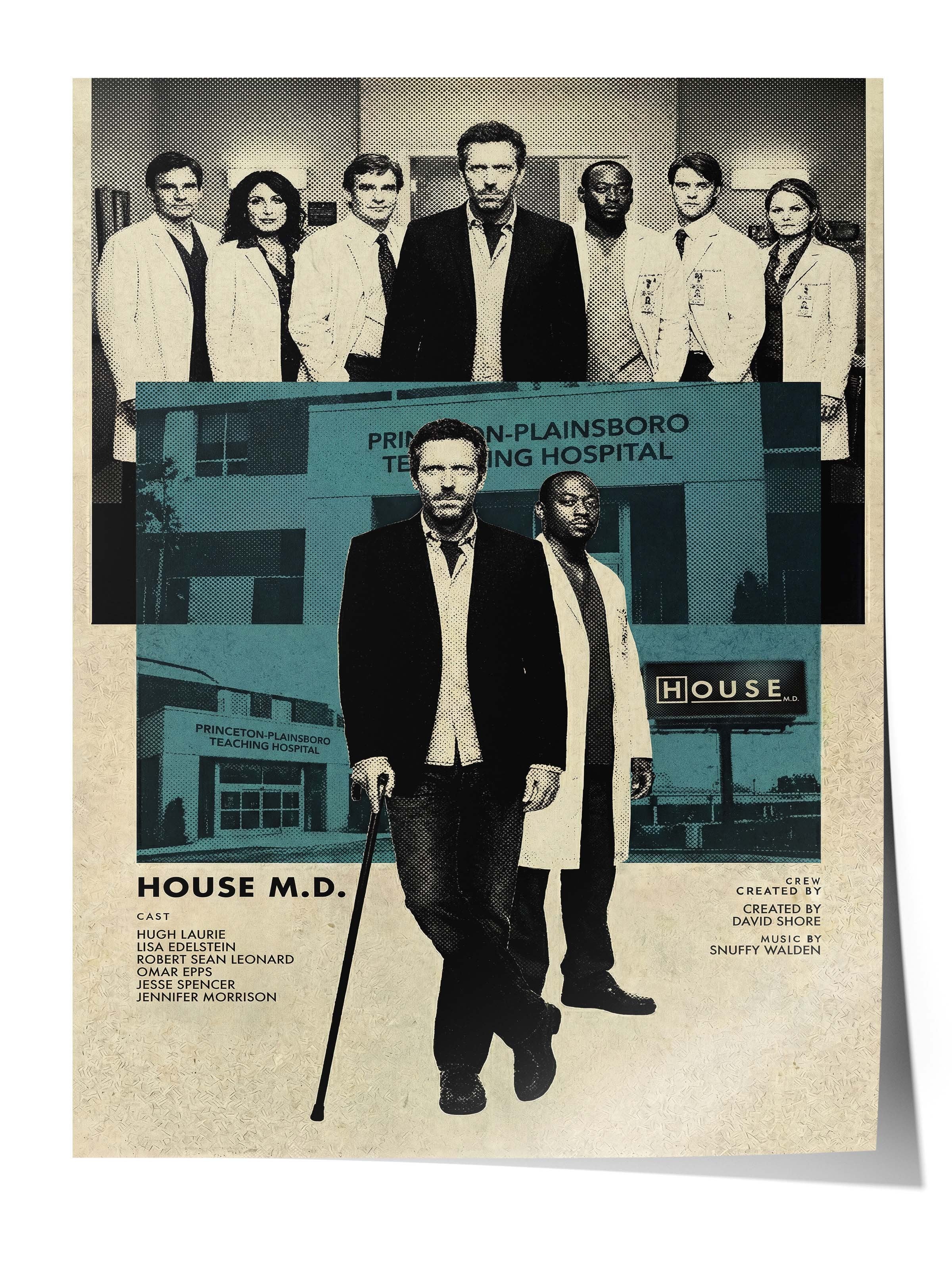 House Posteri, Sinema ve Dizi Tablo Posterleri, Film Dizi Afişleri NO:112775