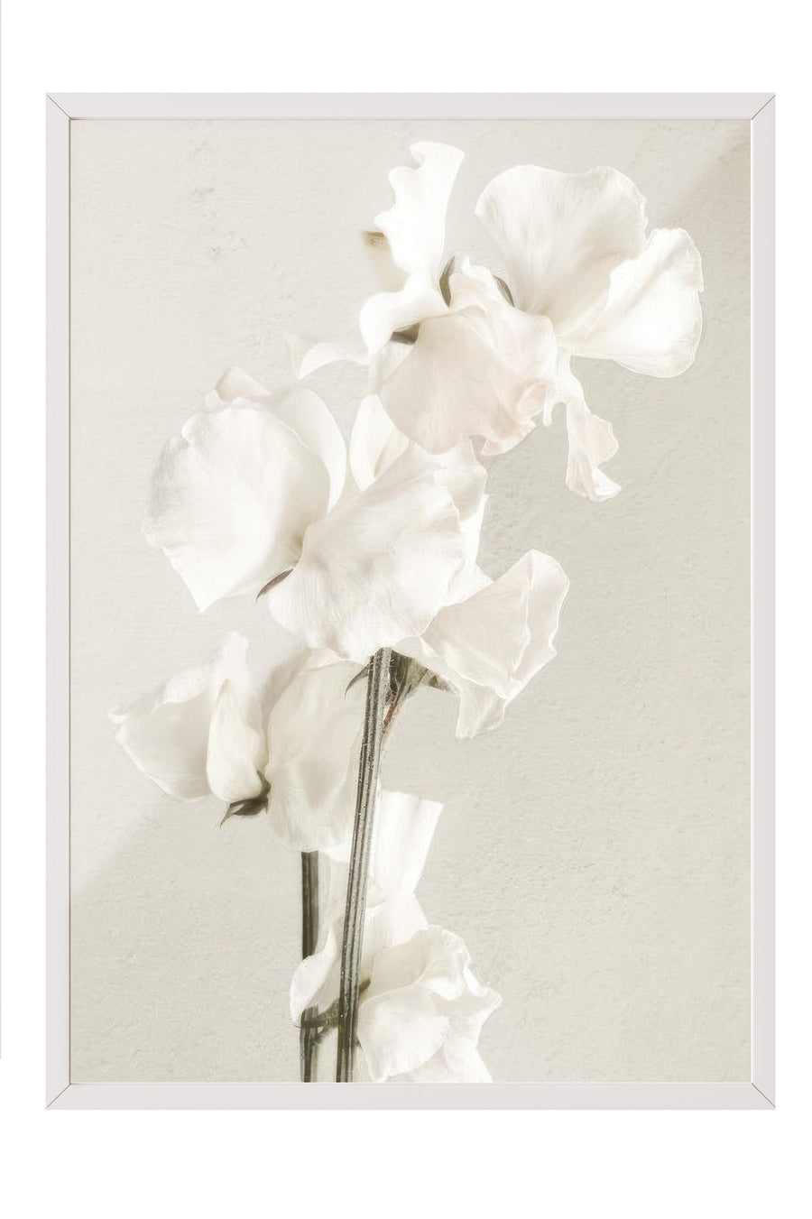 In Full Bloom Çerçeveli Tablo, Beyaz Çerçeve ve Poster, Dikey Duvar Tablosu Comfort Serisi NO:108434