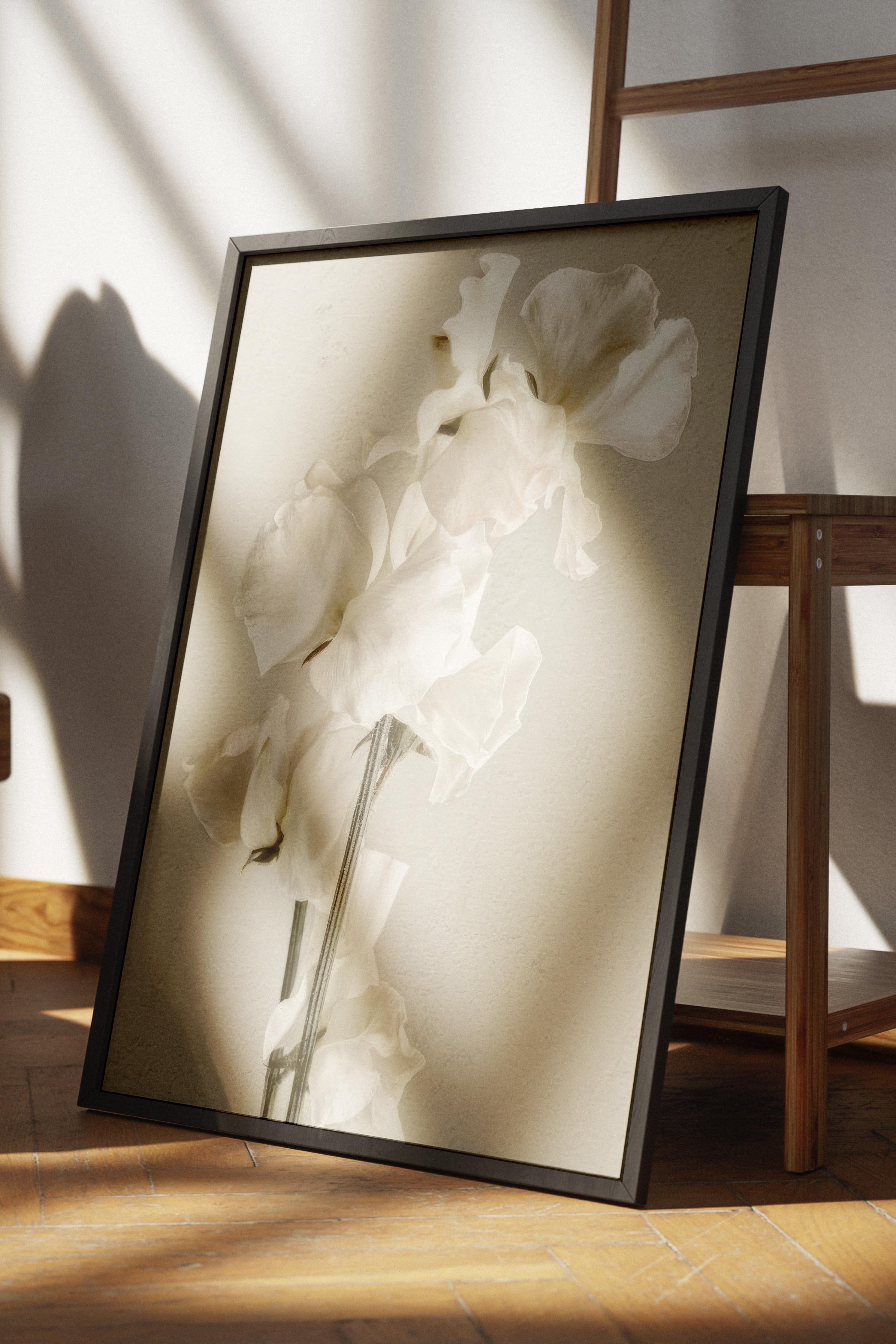 In Full Bloom Çerçeveli Tablo, Siyah Çerçeve ve Poster, Dikey Duvar Tablosu Comfort Serisi NO:108434