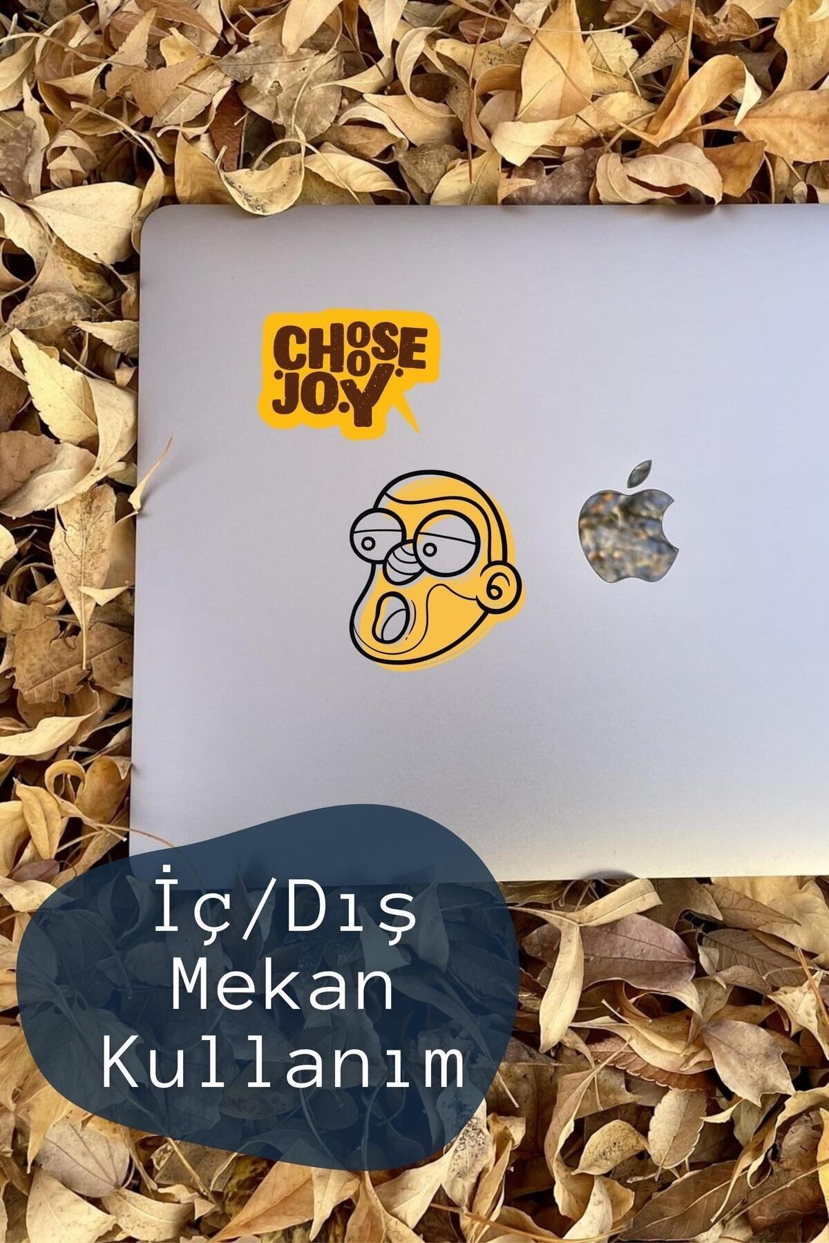 Indie Temalı Sticker Seti - 16 Adet Etiket Seti- Telefon, Tablet, Defter Laptop Uyumlu Etiket