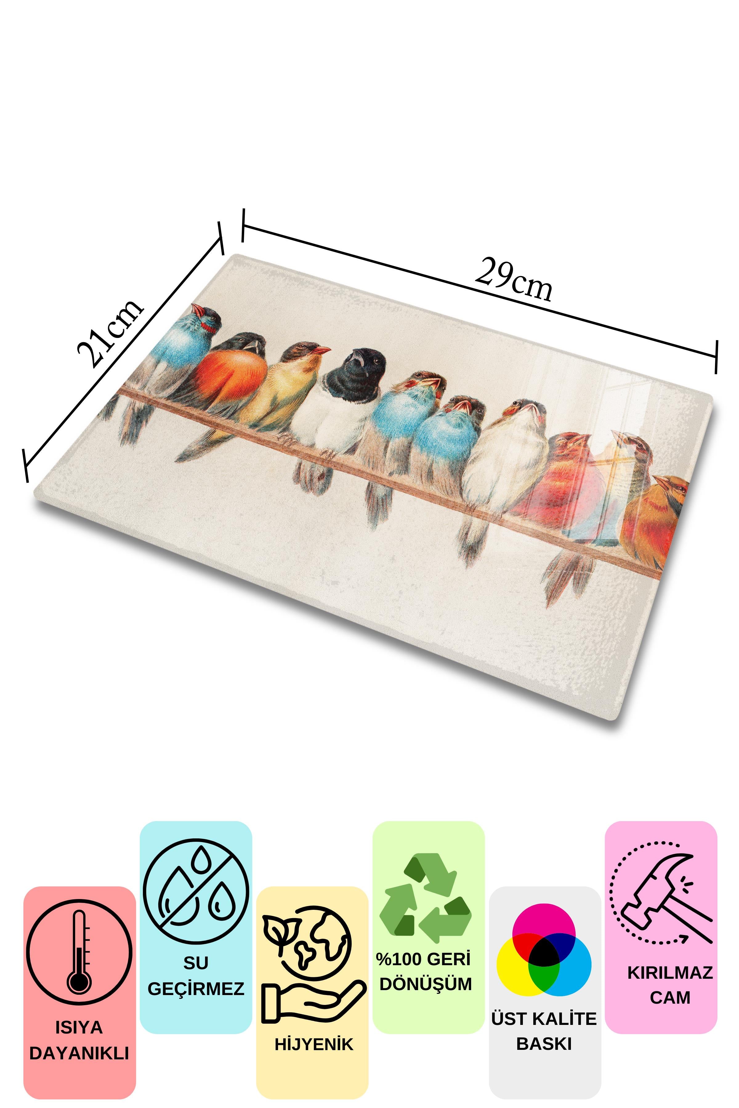 Kesme Tahtası, Kalın Ve Kırılmaz Cama Baskı - Vintage Kuşlar Baskılı - 21*30cm, Doğrama Tahtası